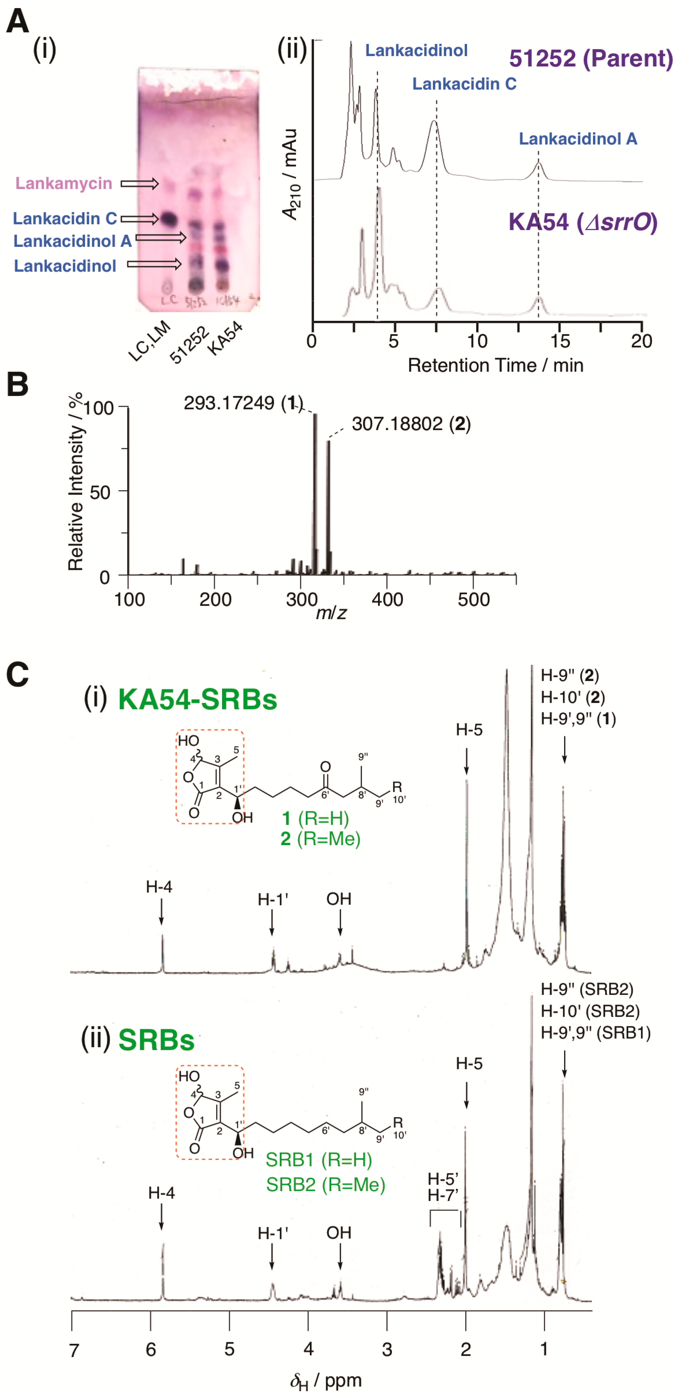 Biomolecules 10 01237 g002 Biomolecules 10 01237 g002