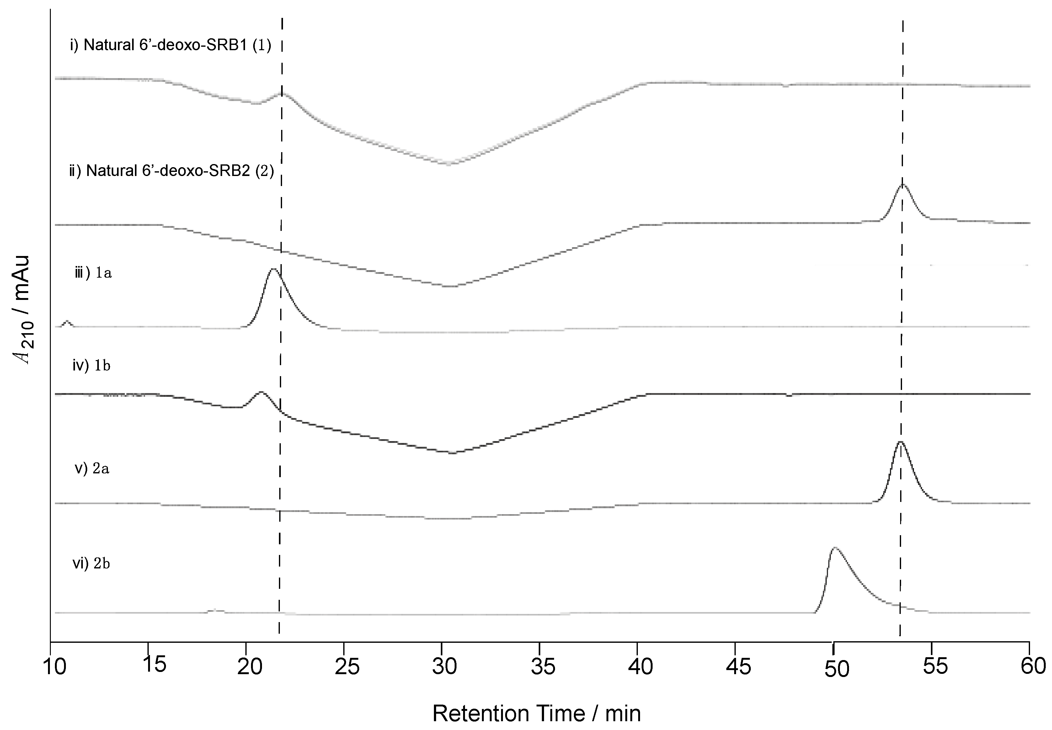 Biomolecules 10 01237 g003 Biomolecules 10 01237 g003
