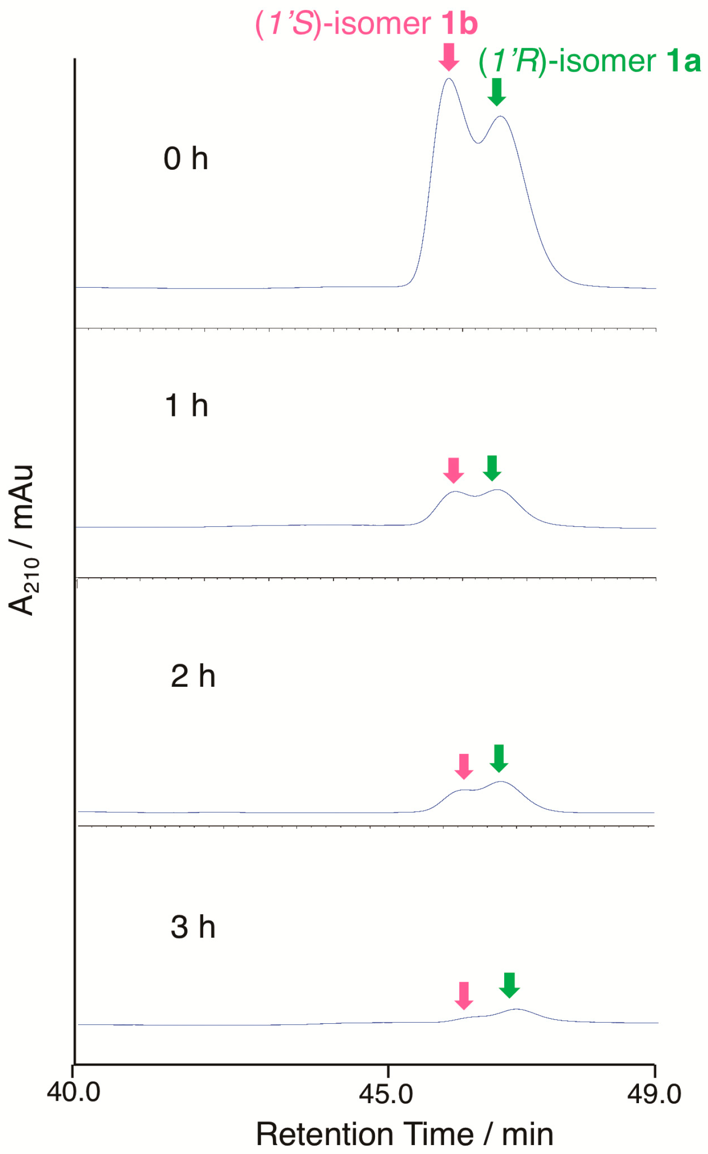 Biomolecules 10 01237 g006 Biomolecules 10 01237 g006