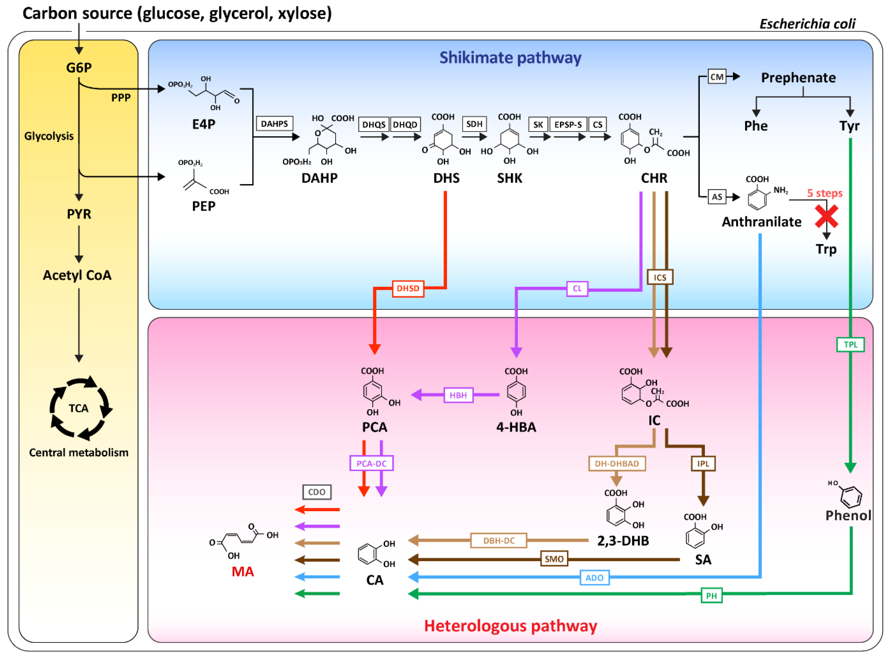 Biomolecules 10 01238 g001