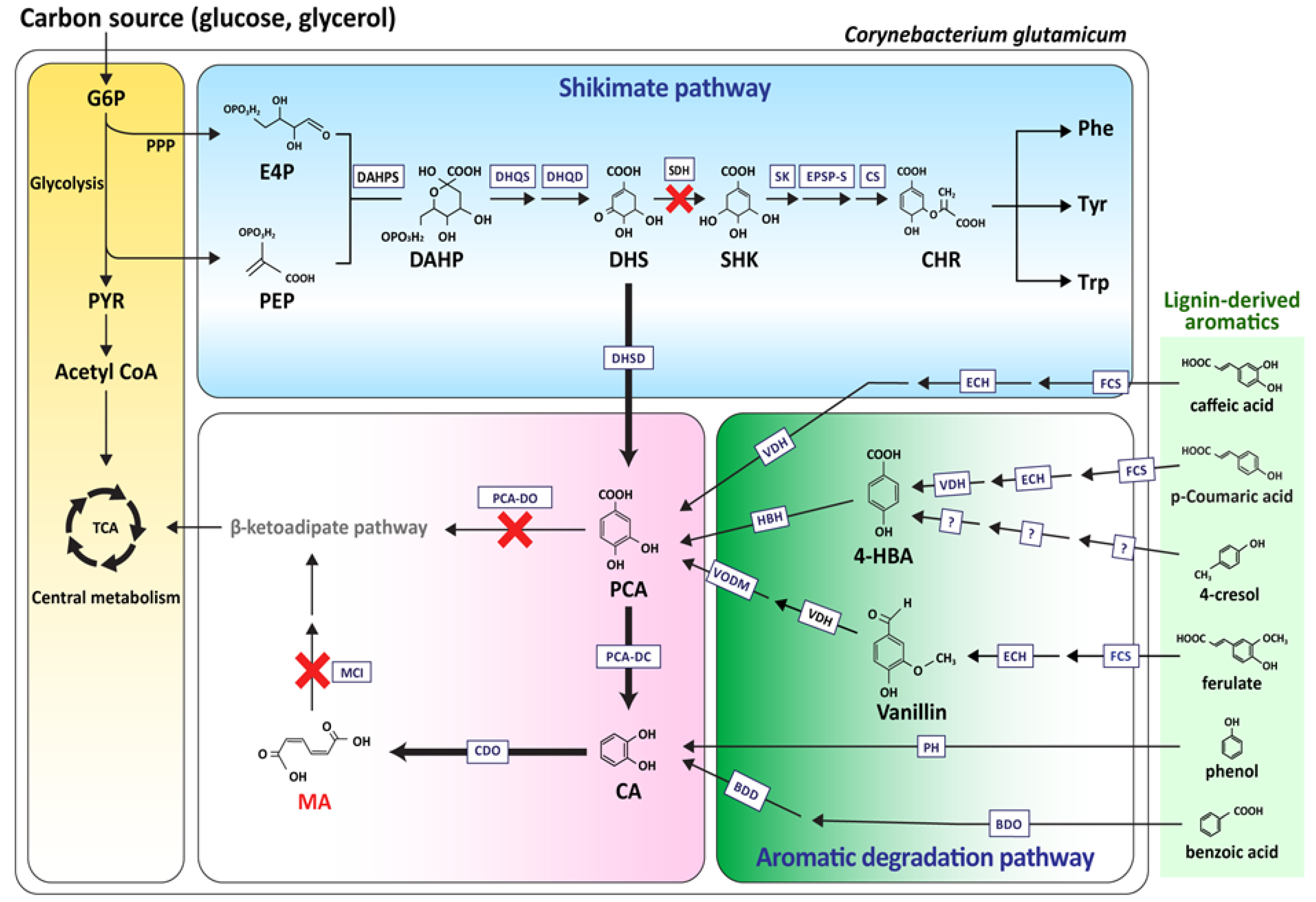 Biomolecules 10 01238 g002
