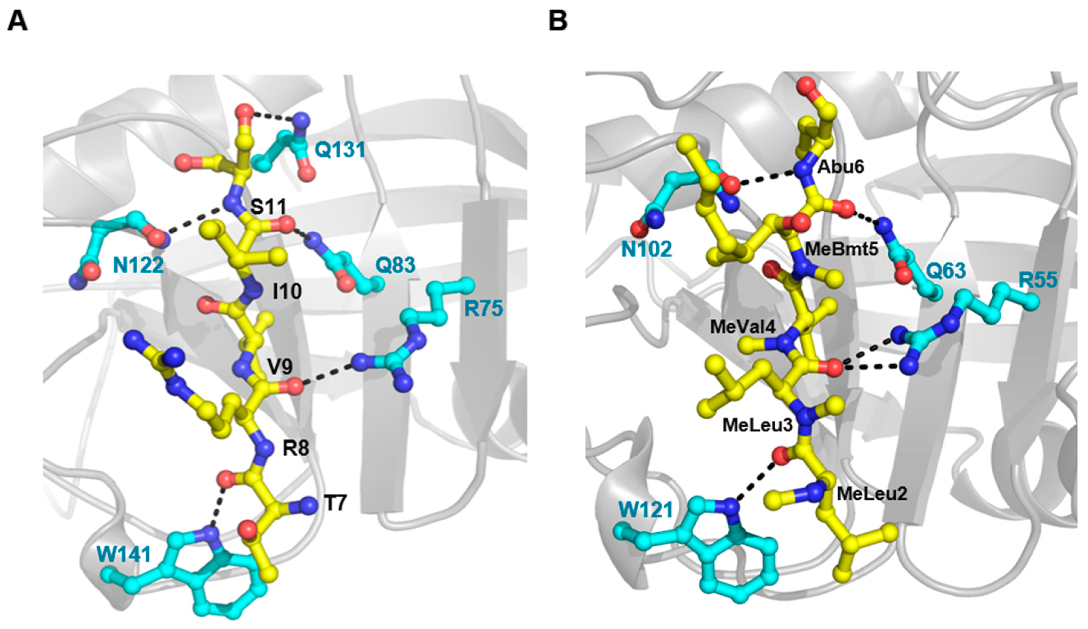 Biomolecules 10 01239 g004