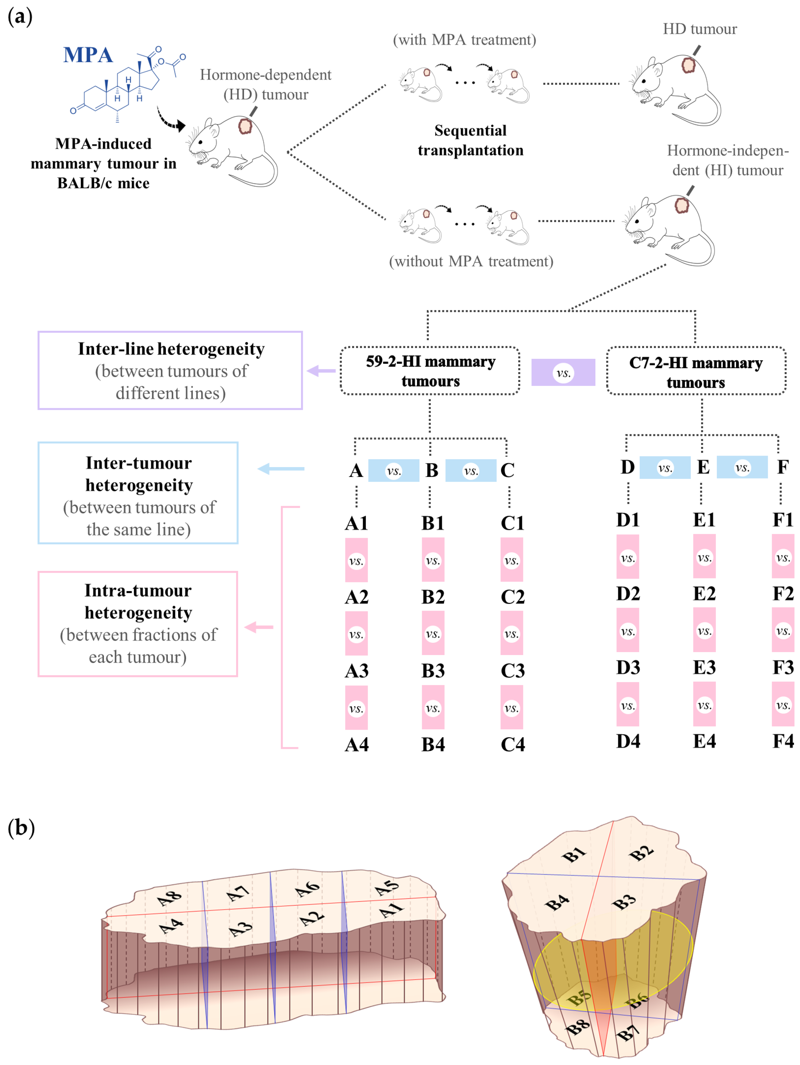 Biomolecules 10 01242 g001 Biomolecules 10 01242 g001
