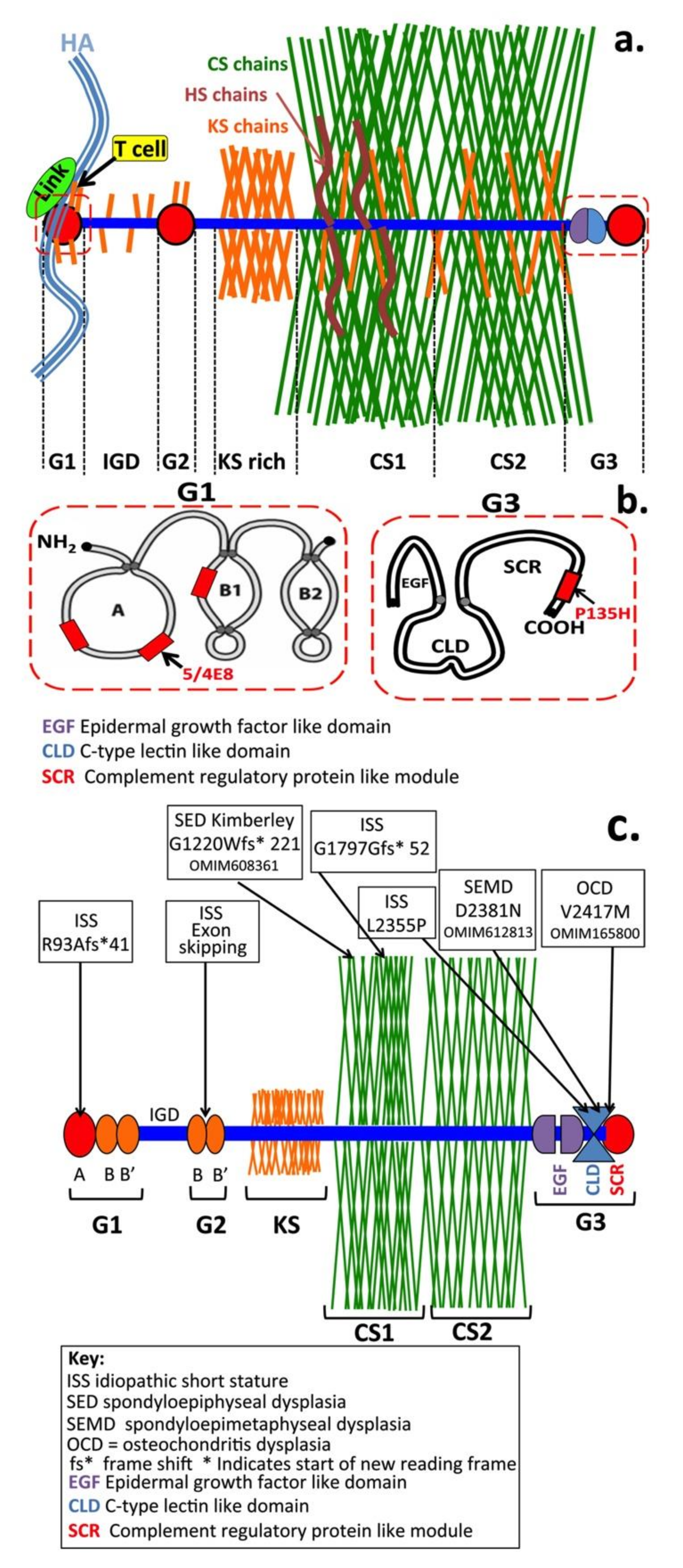 Biomolecules 10 01244 g005 Biomolecules 10 01244 g005