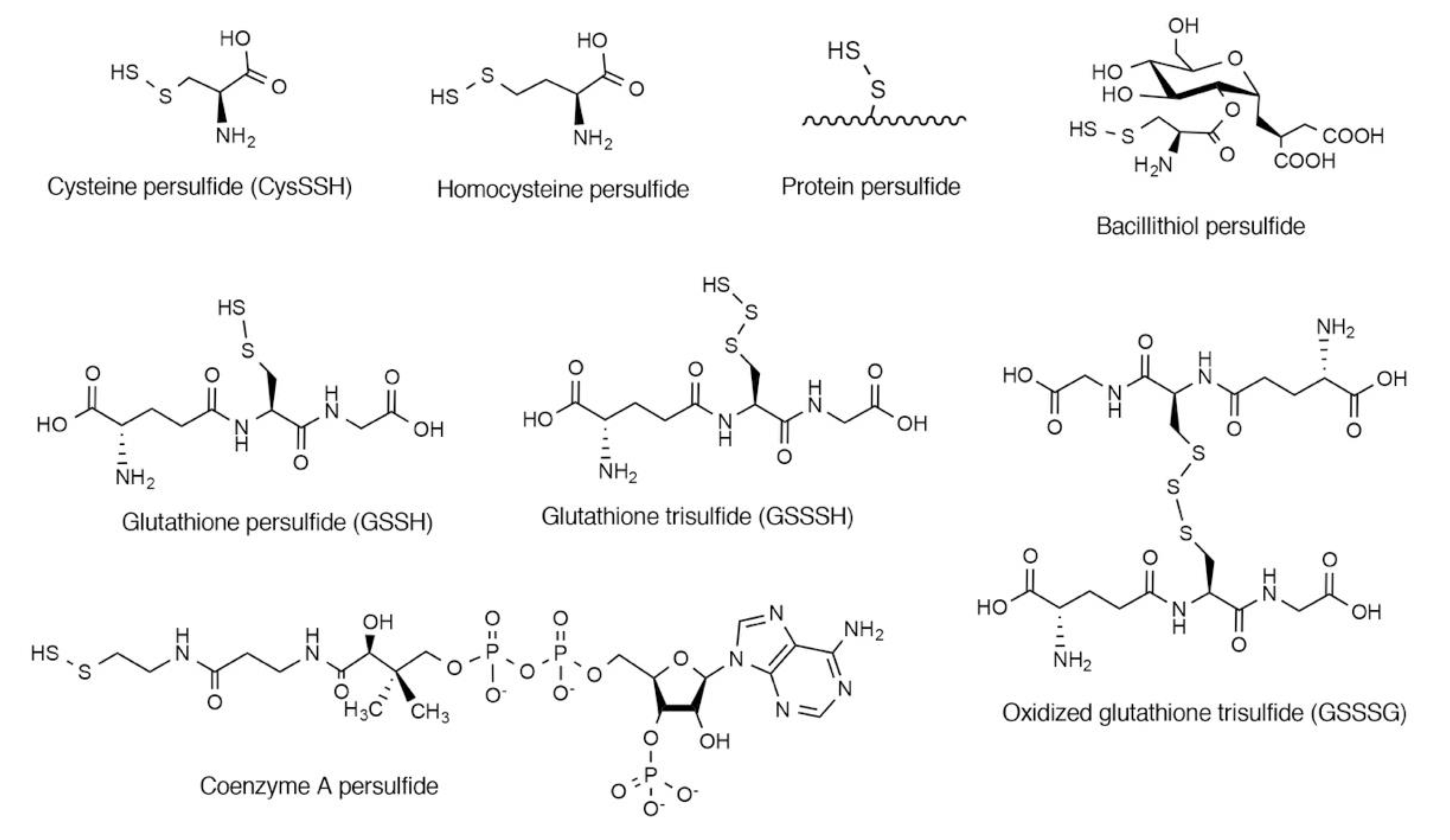 Biomolecules 10 01245 g001 Biomolecules 10 01245 g001