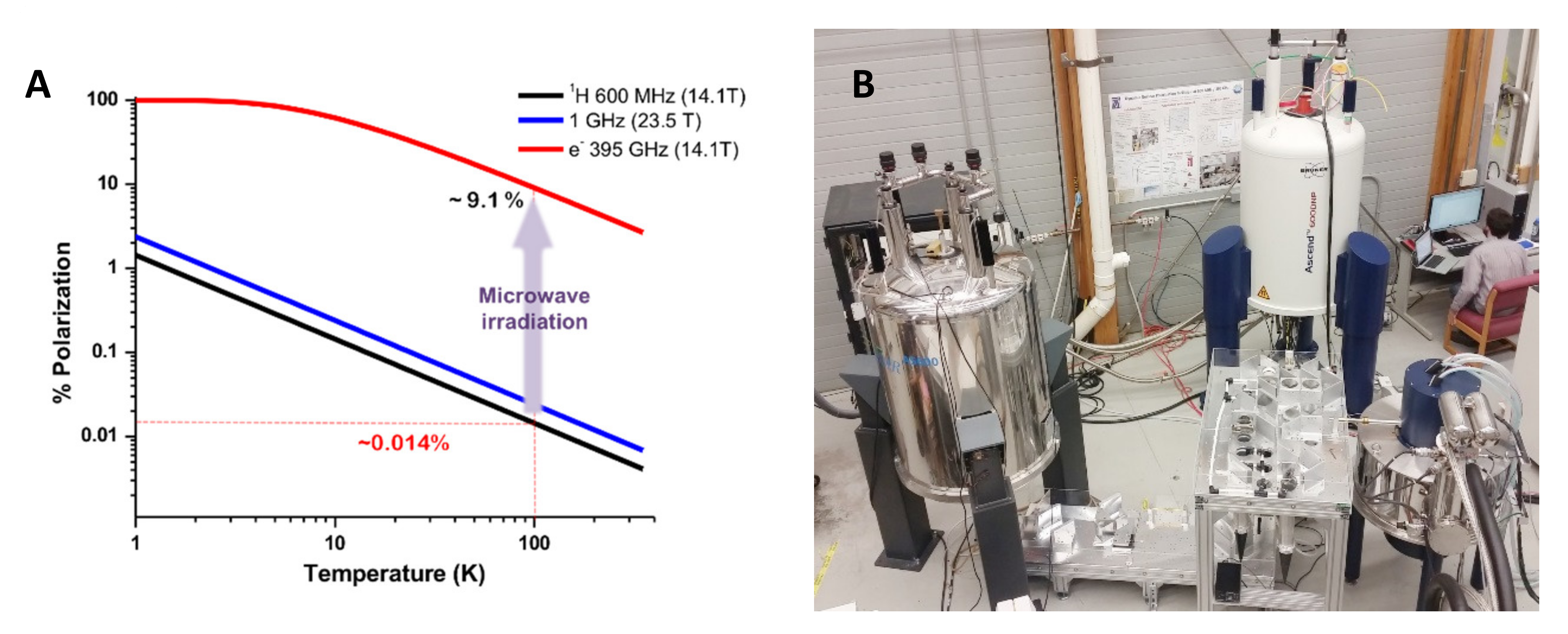 Biomolecules 10 01246 g001 Biomolecules 10 01246 g001