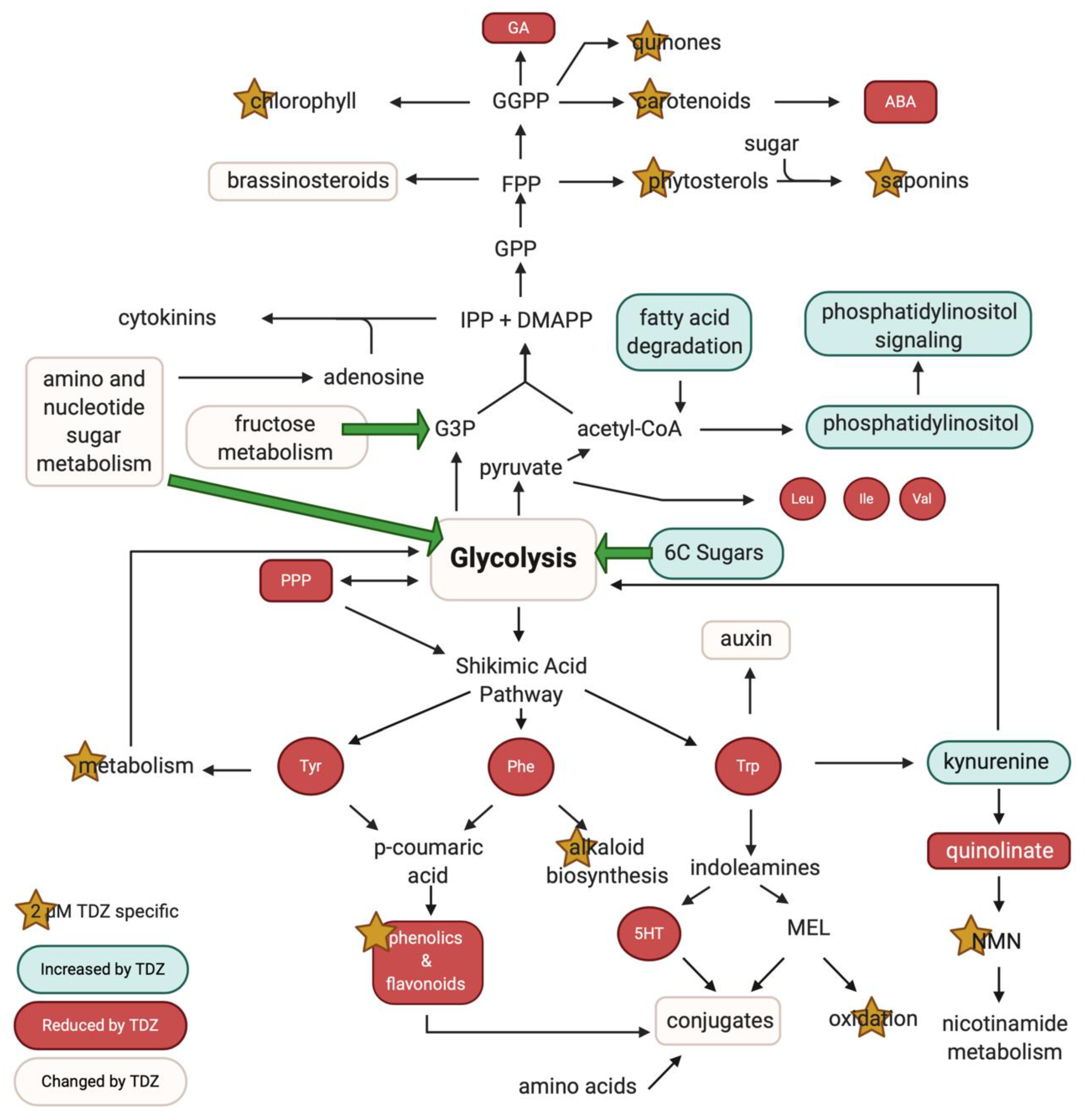 Biomolecules 10 01253 g009 Biomolecules 10 01253 g009