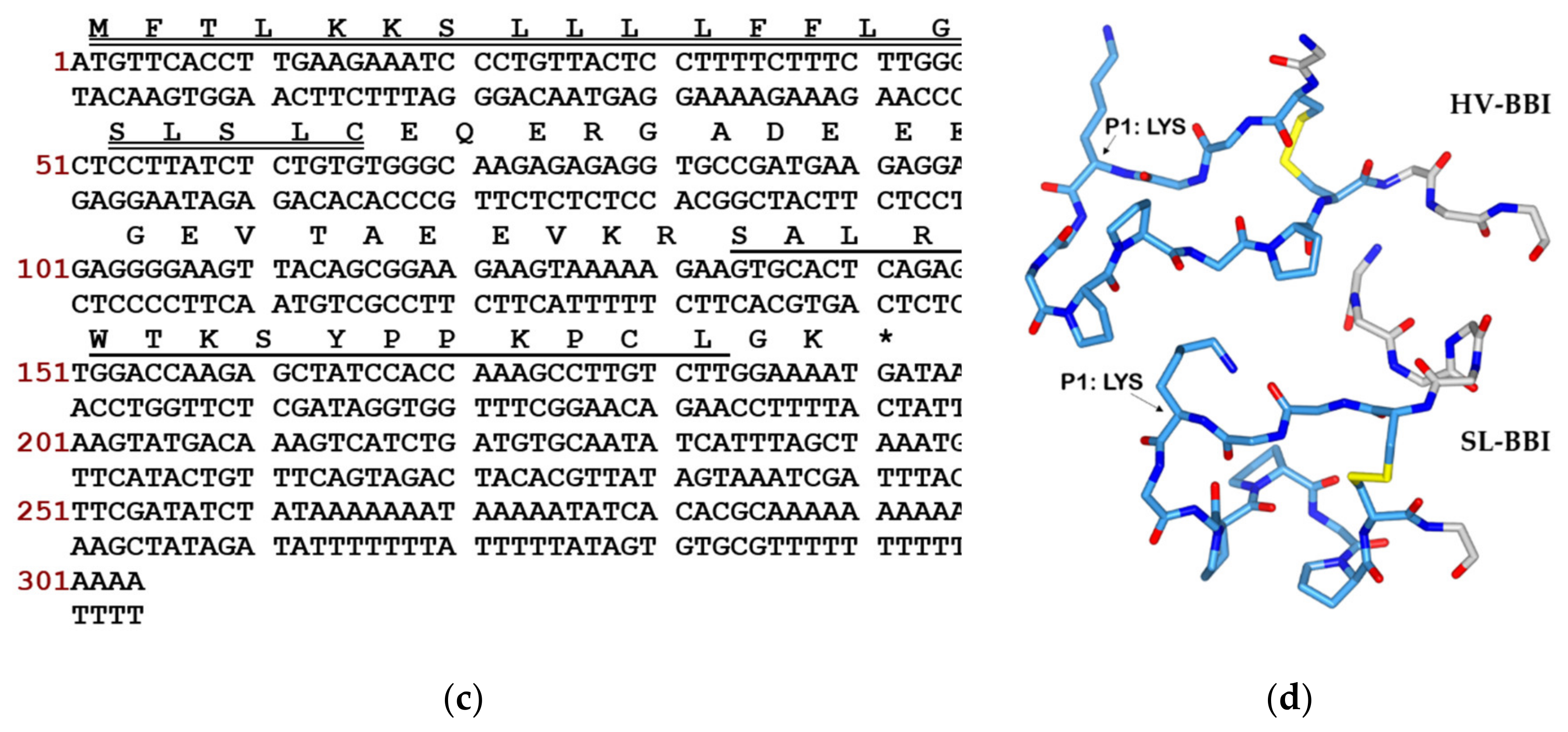 Biomolecules 10 01254 g001b Biomolecules 10 01254 g001b