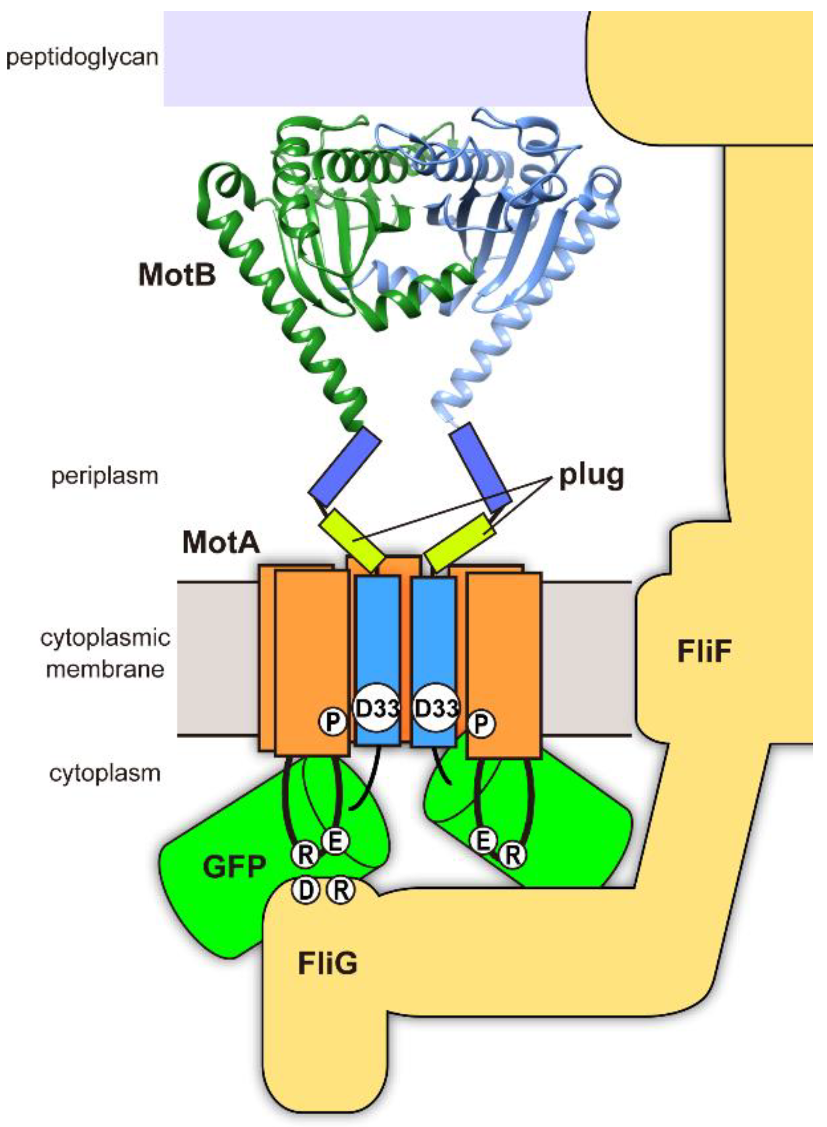 Biomolecules 10 01255 g001