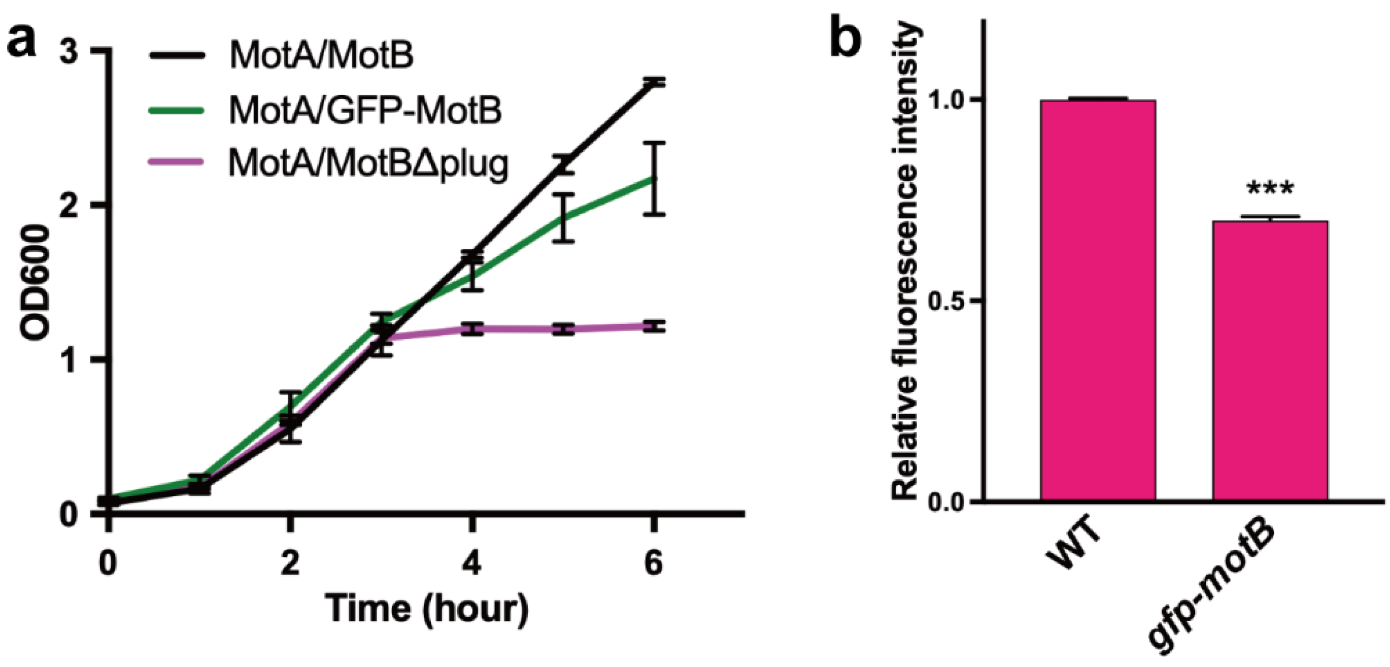 Biomolecules 10 01255 g003