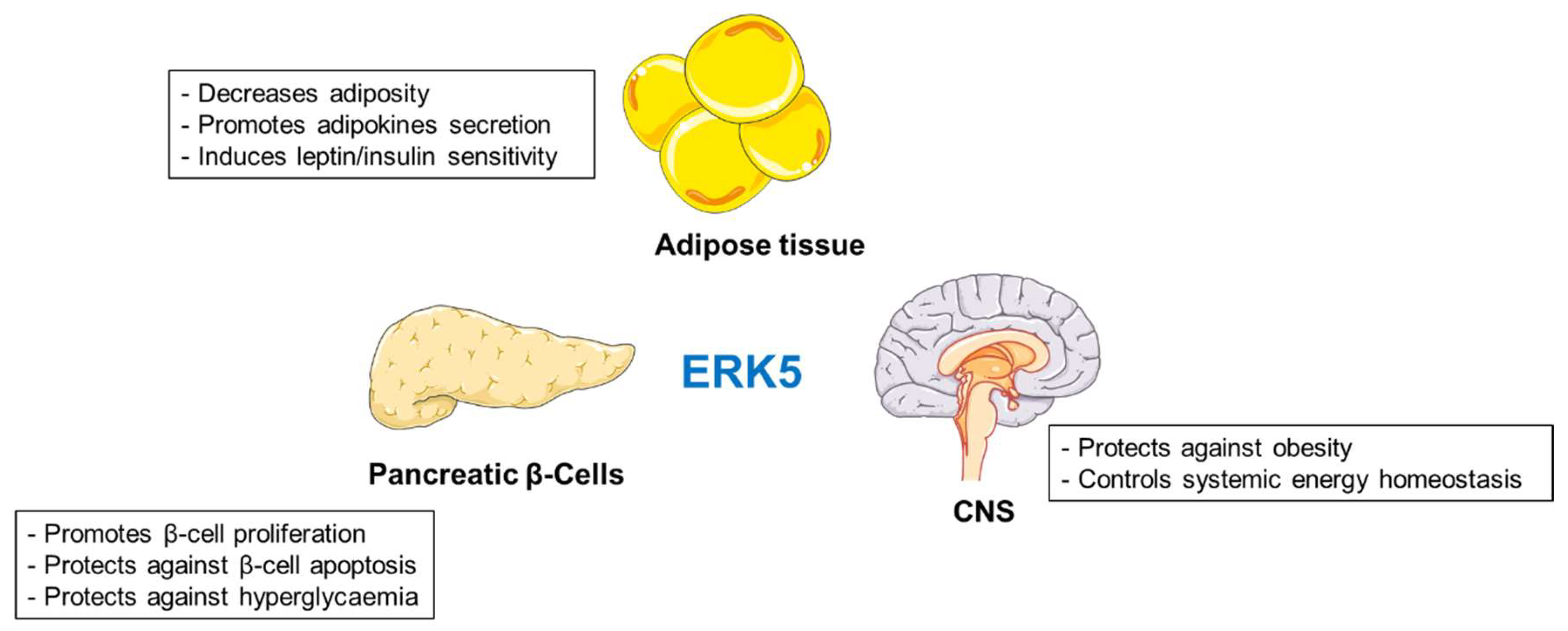 Biomolecules 10 01256 g004 Biomolecules 10 01256 g004