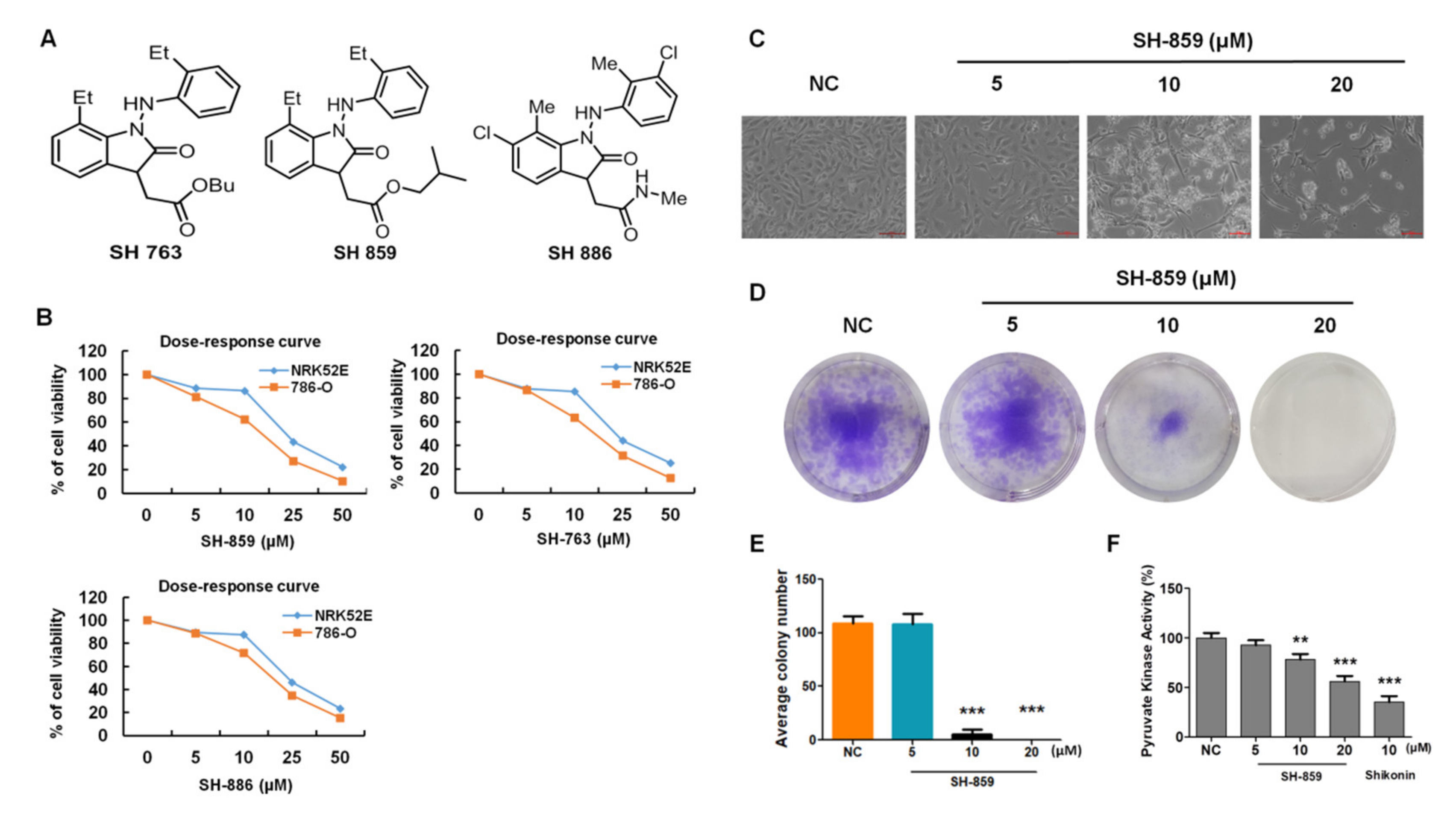 Biomolecules 10 01260 g001