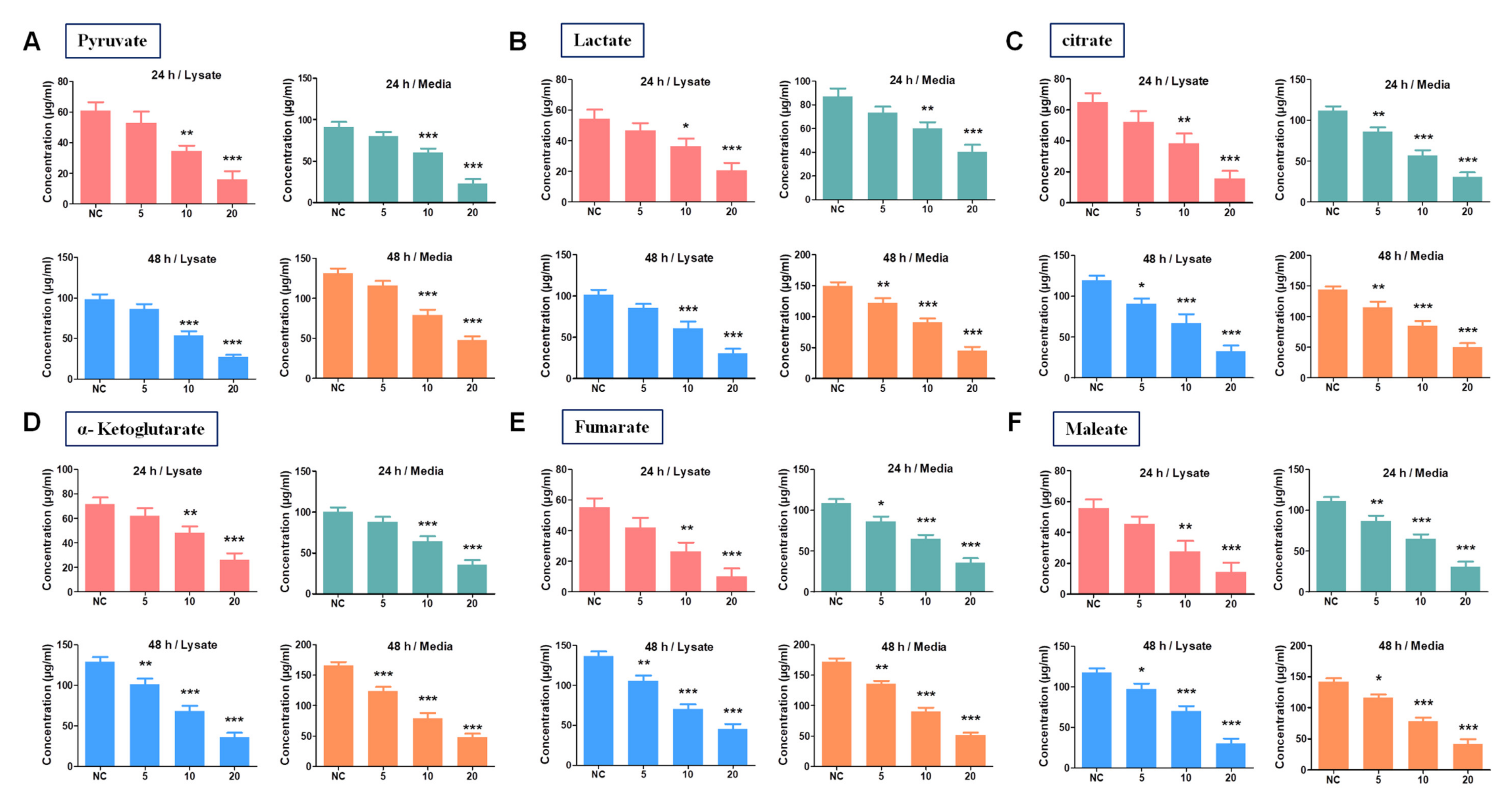 Biomolecules 10 01260 g004