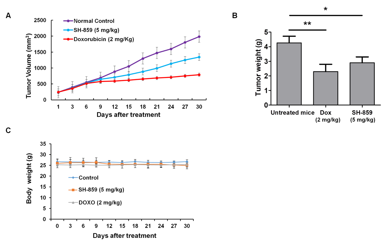 Biomolecules 10 01260 g006