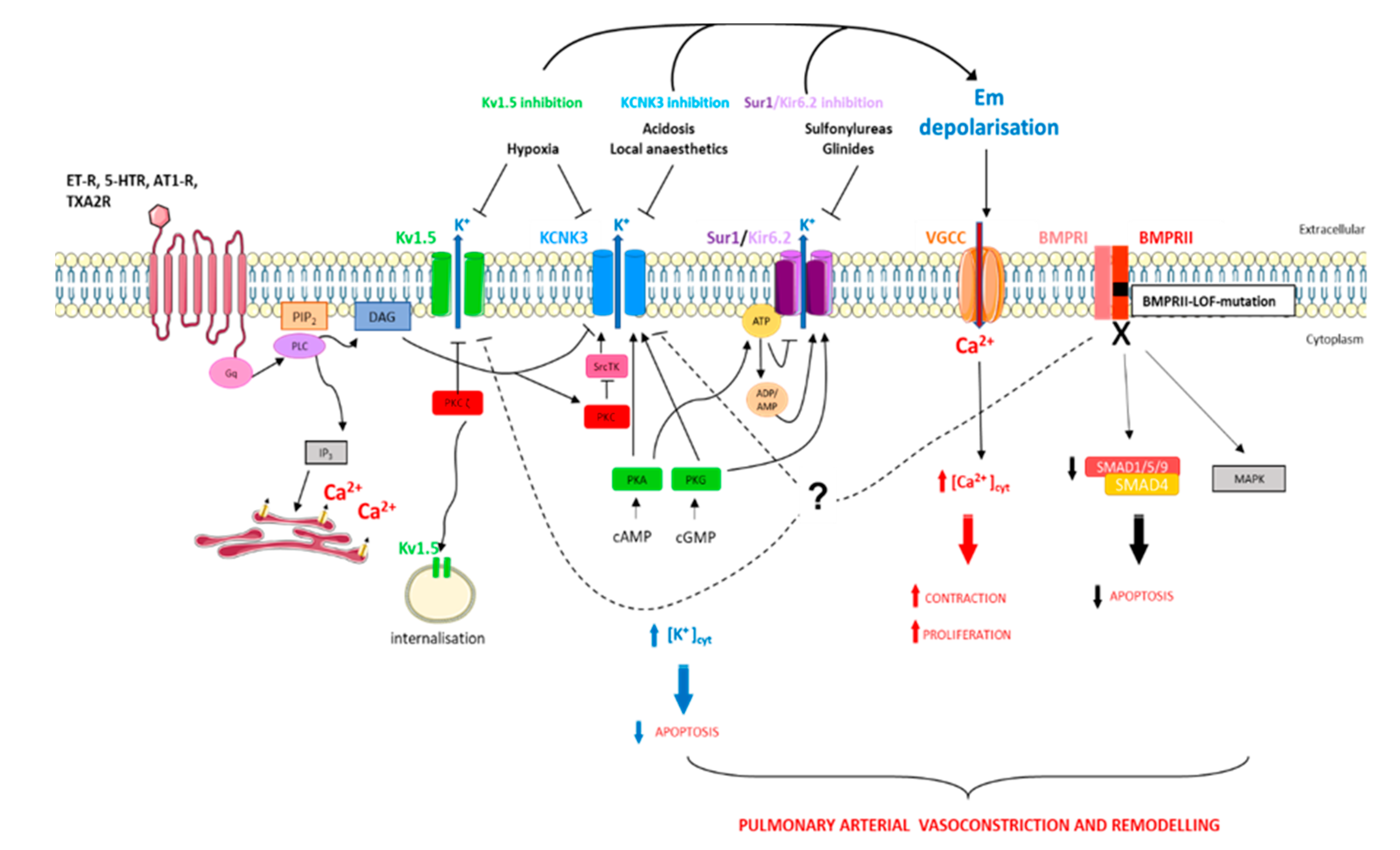 Biomolecules 10 01261 g002