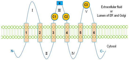 Biomolecules 10 01263 g001 550