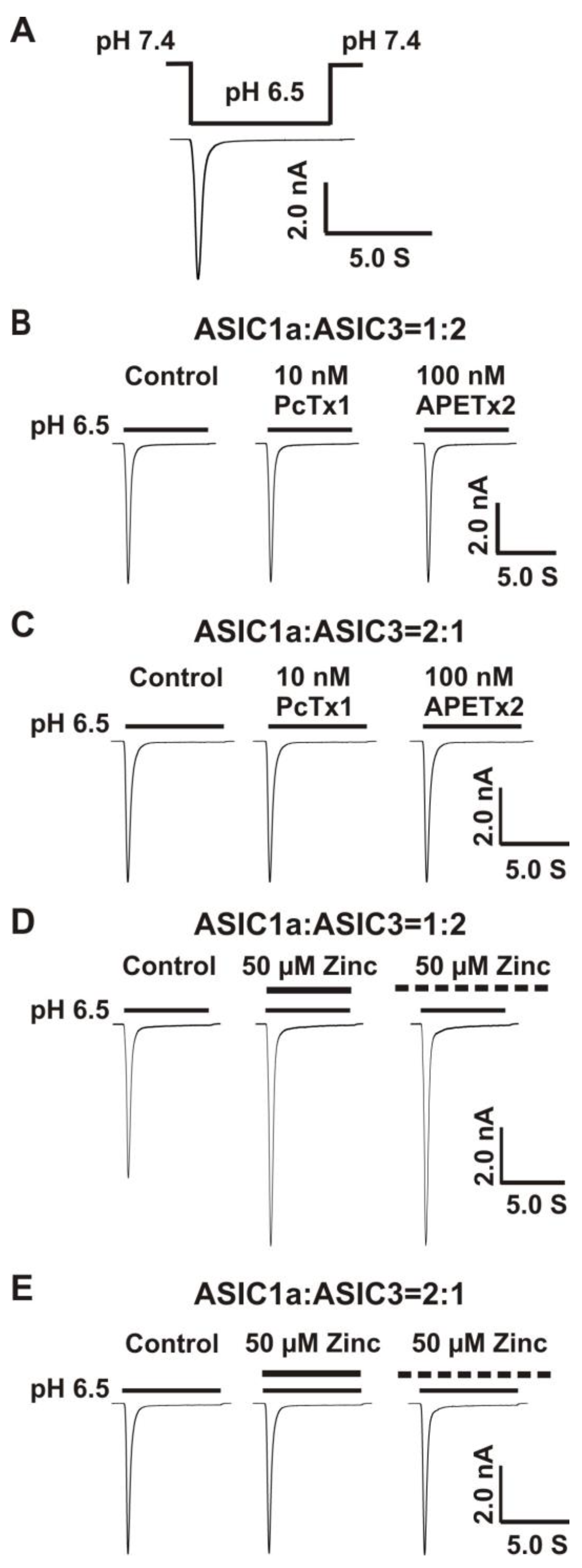 Biomolecules 10 01264 g002