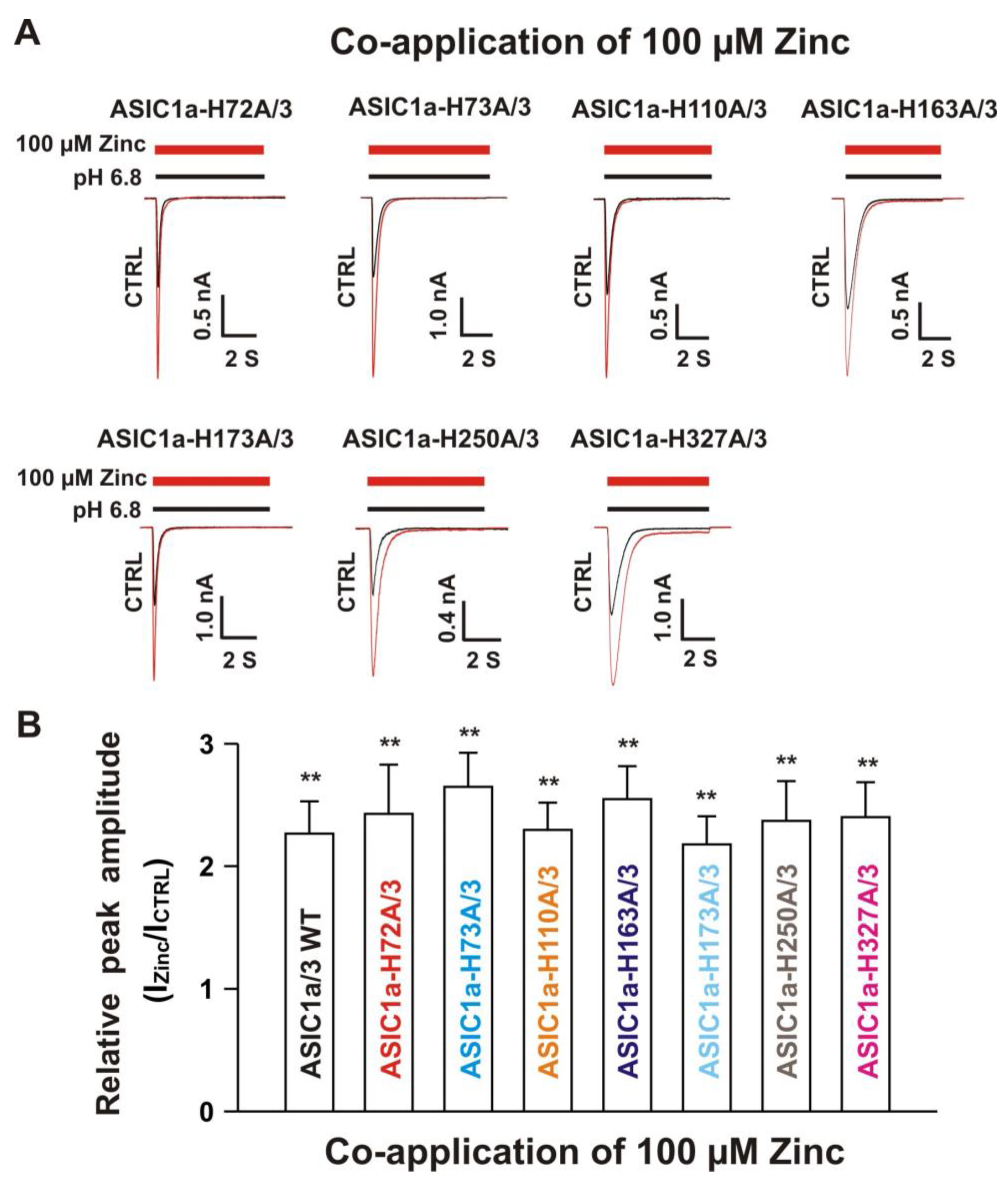 Biomolecules 10 01264 g009