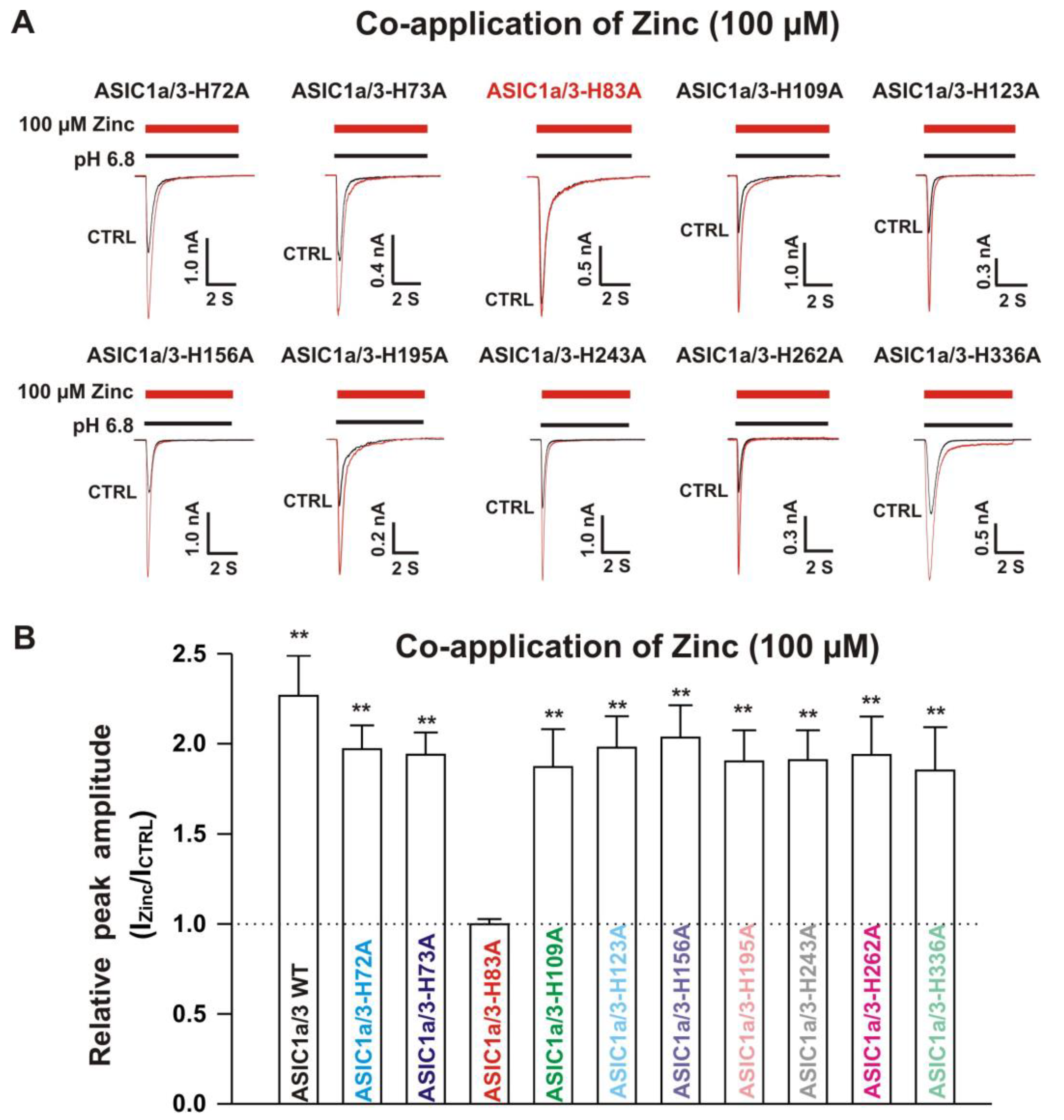 Biomolecules 10 01264 g012