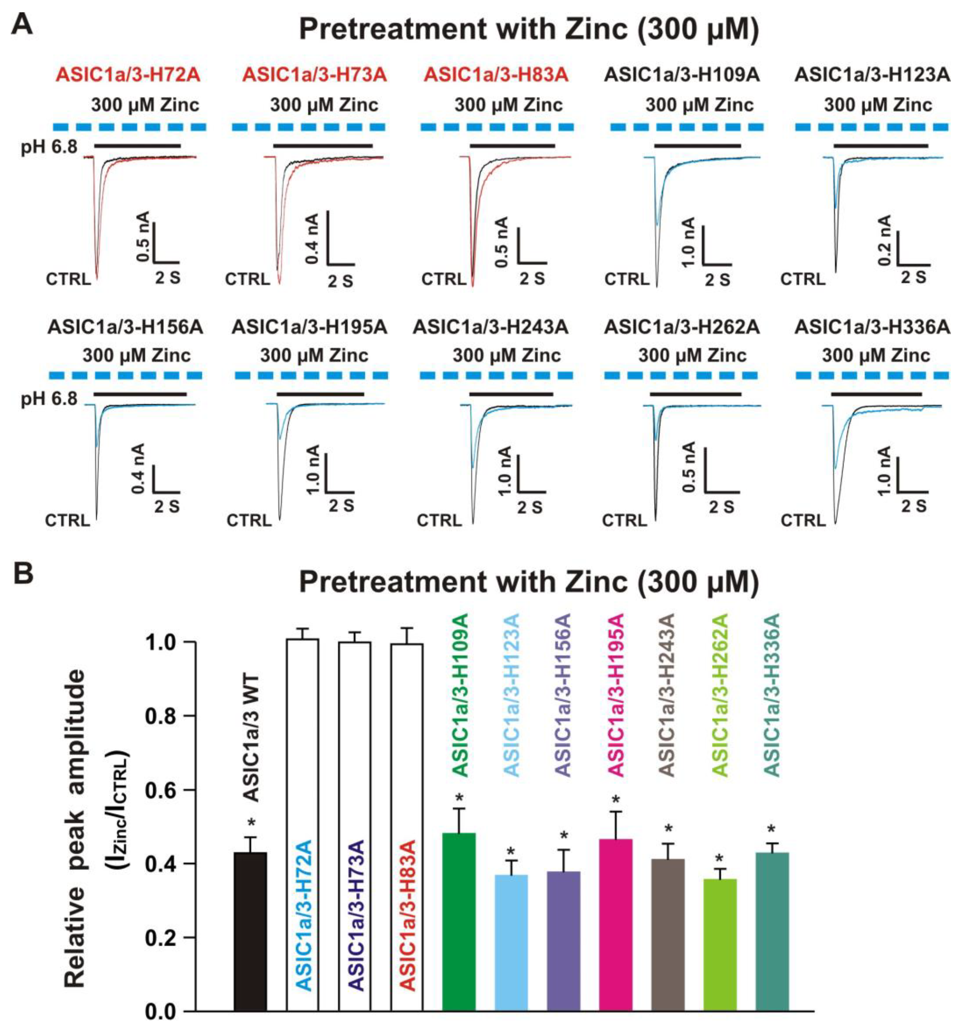 Biomolecules 10 01264 g013