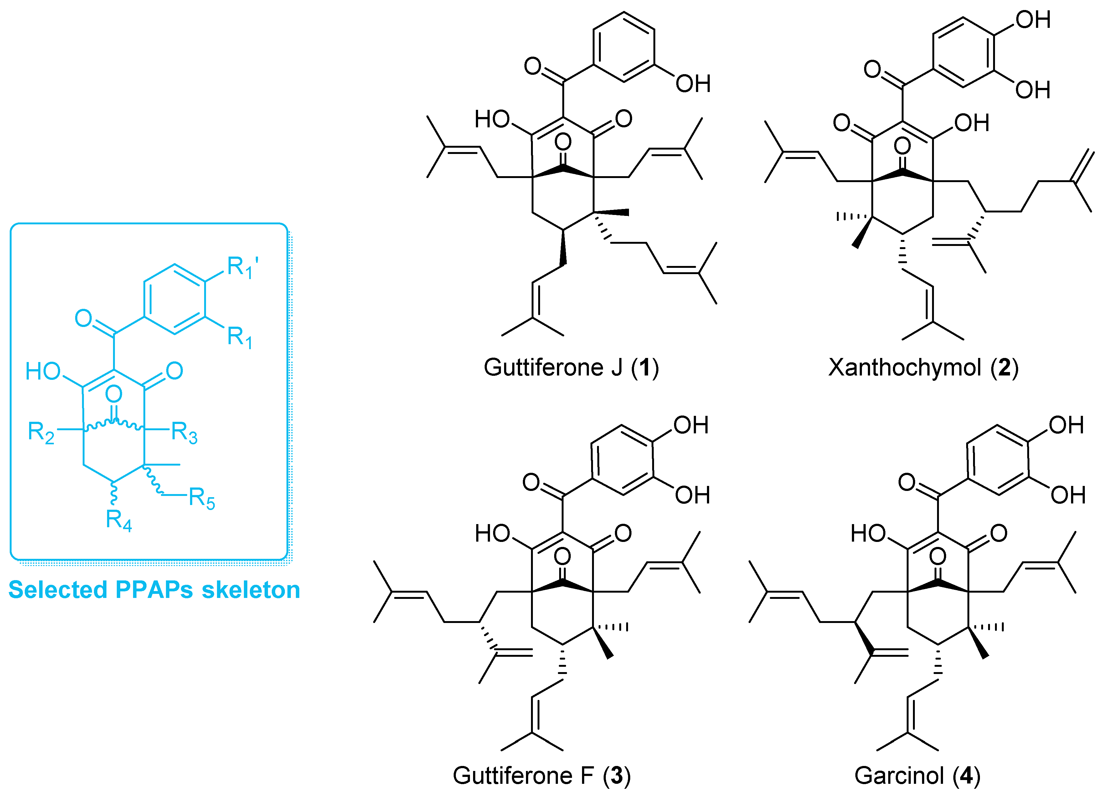 Biomolecules 10 01266 g001 Biomolecules 10 01266 g001