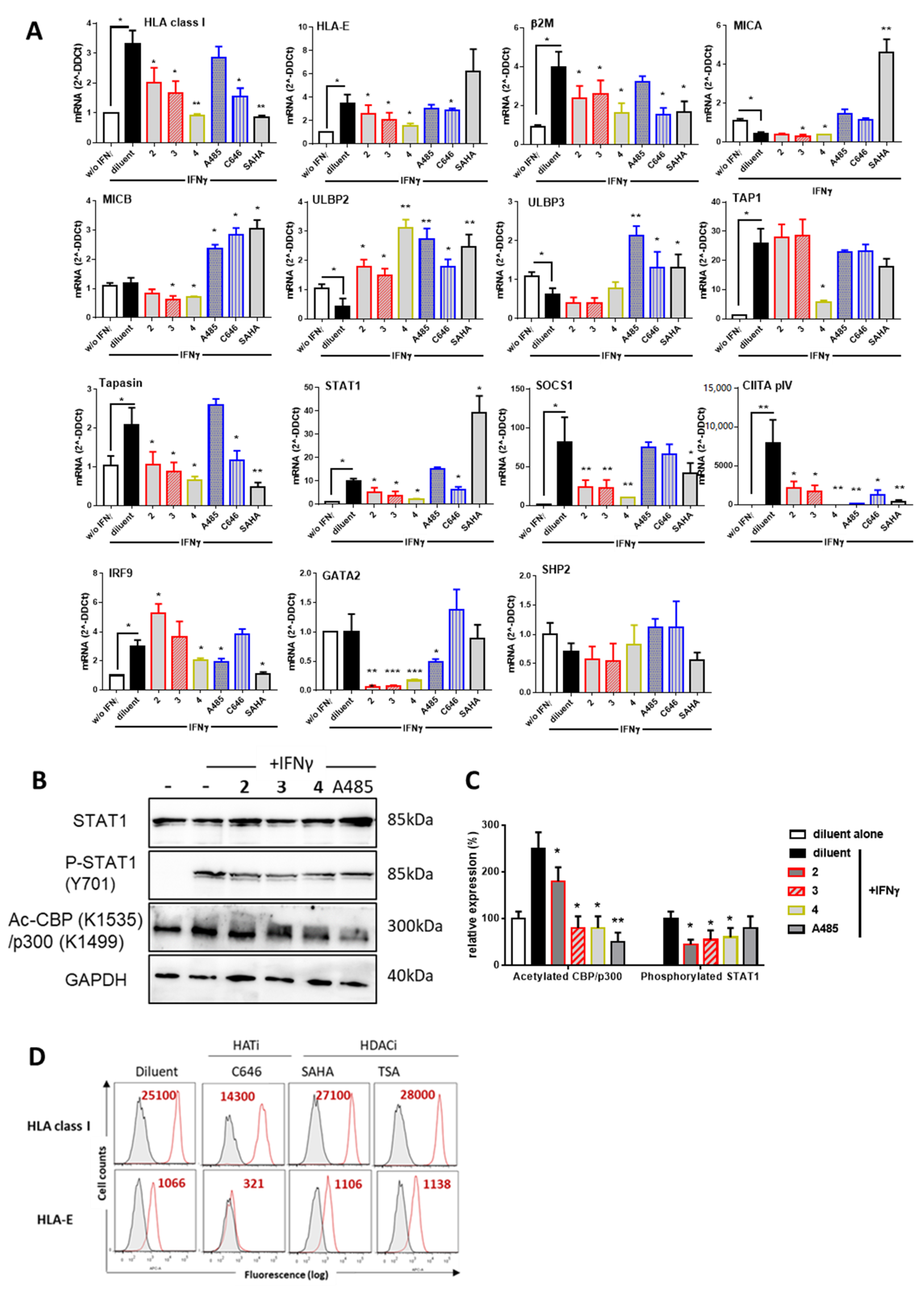 Biomolecules 10 01266 g004 Biomolecules 10 01266 g004