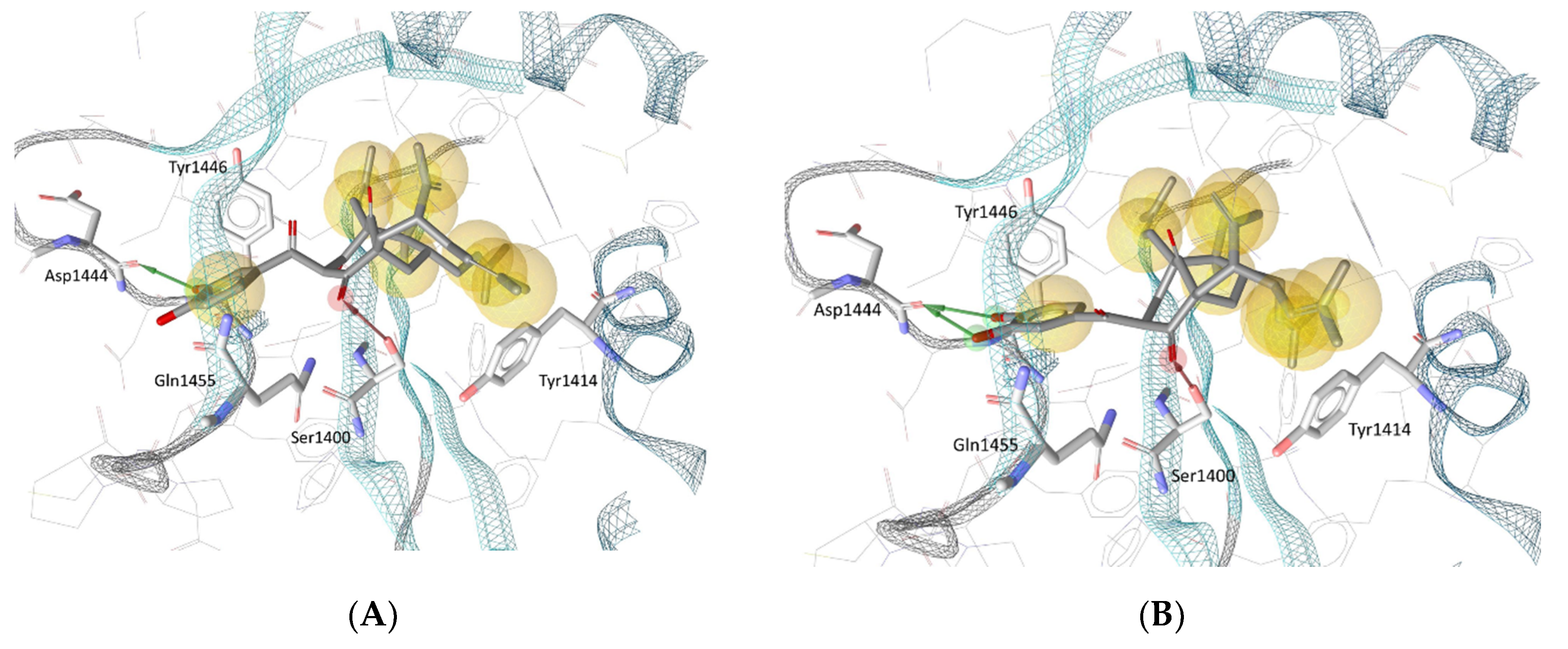 Biomolecules 10 01266 g005a Biomolecules 10 01266 g005a
