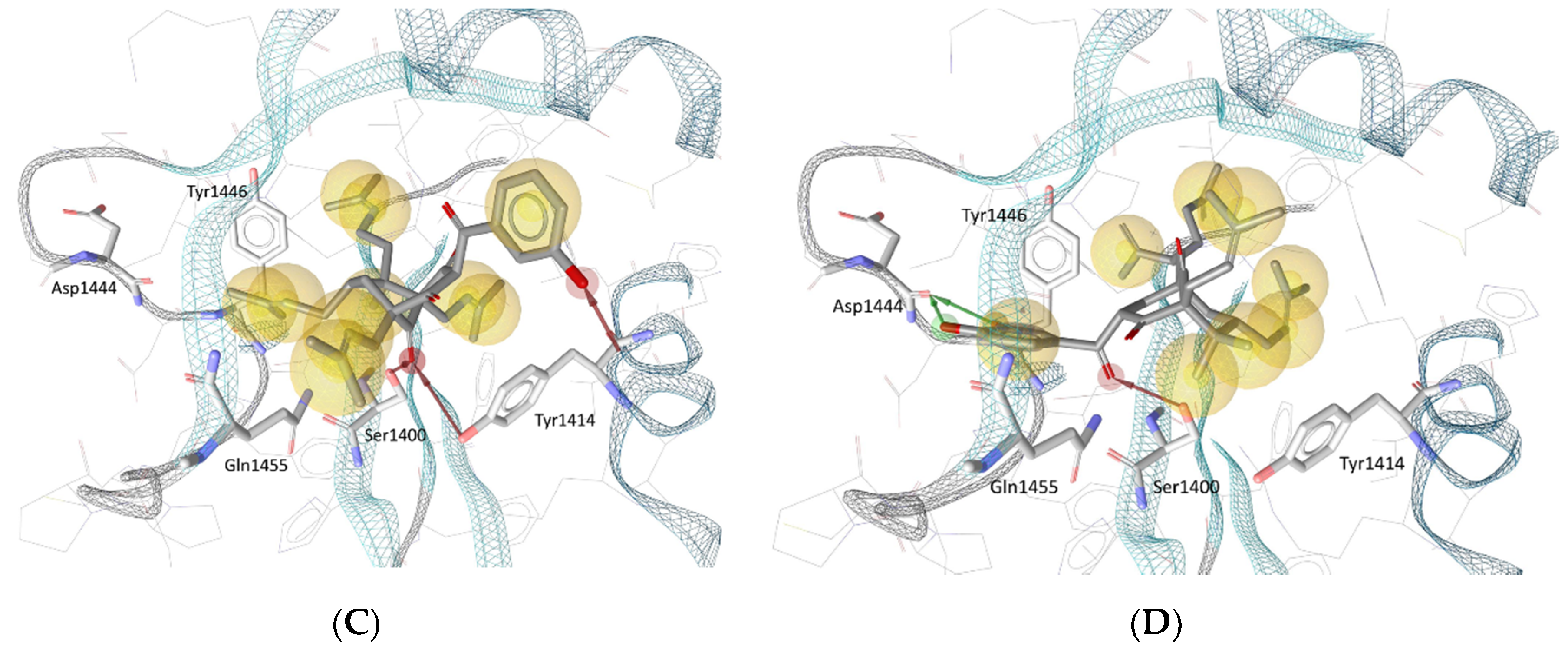 Biomolecules 10 01266 g005b Biomolecules 10 01266 g005b