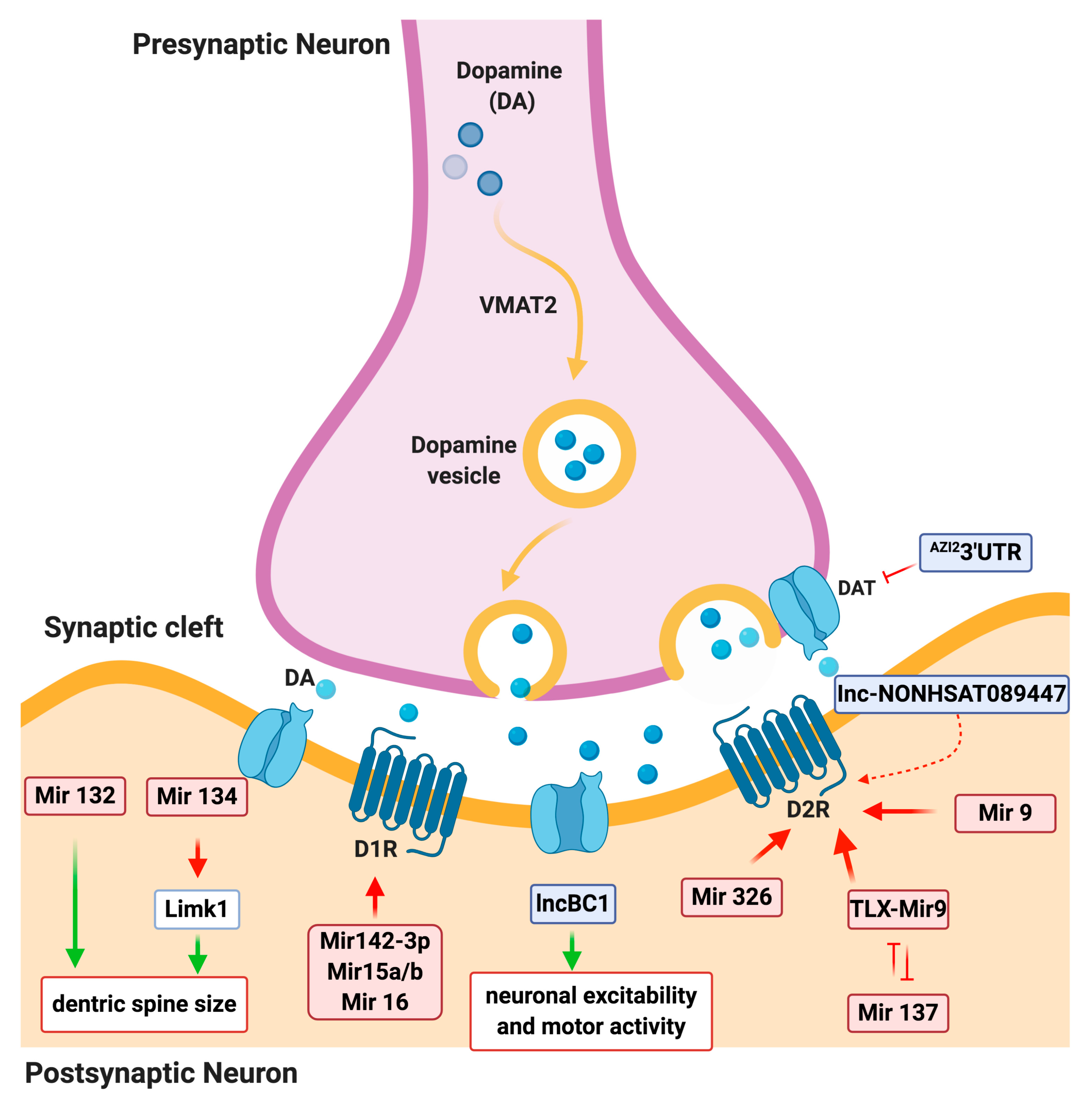 Biomolecules 10 01269 g002