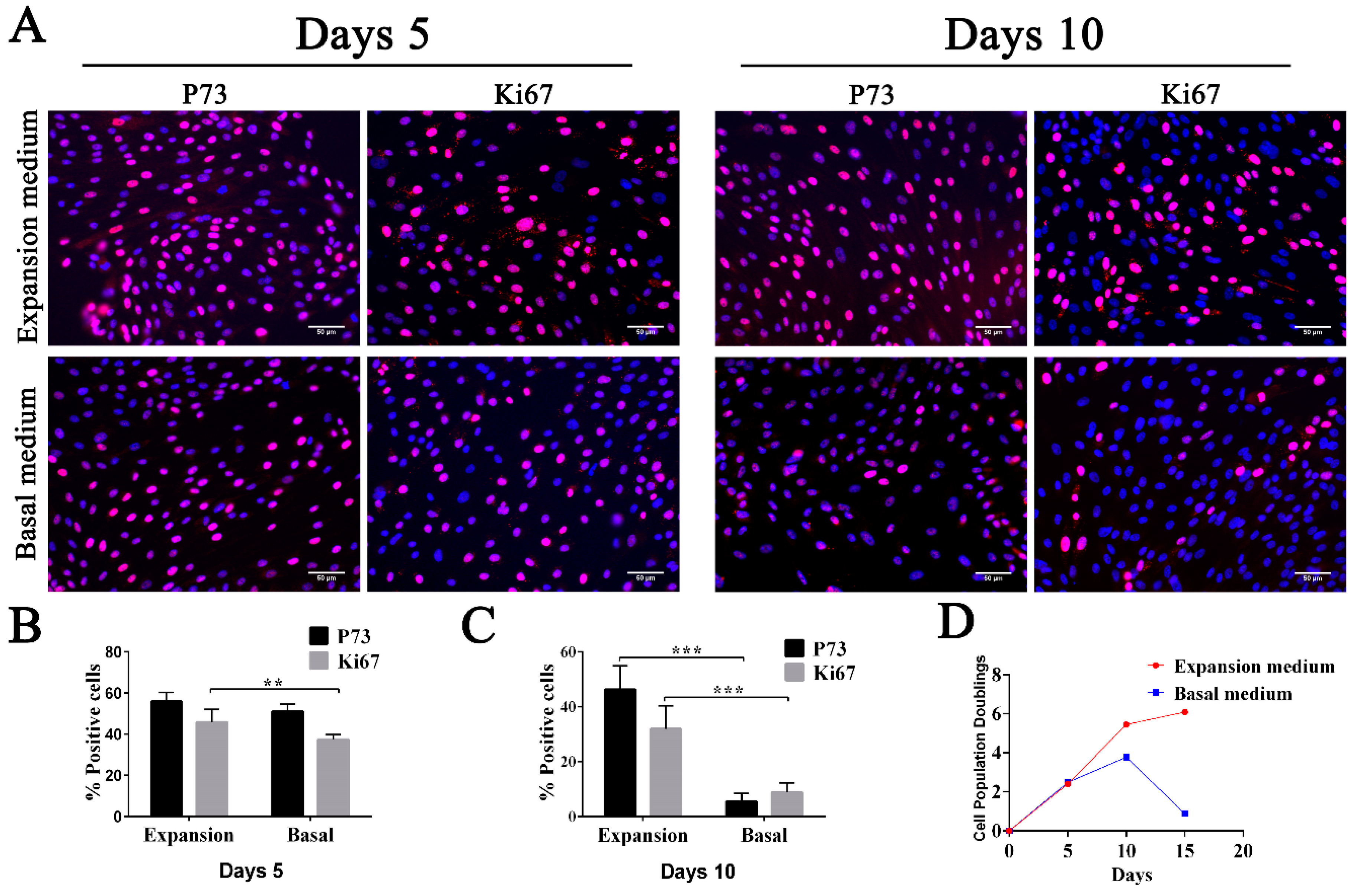 Biomolecules 10 01270 g002