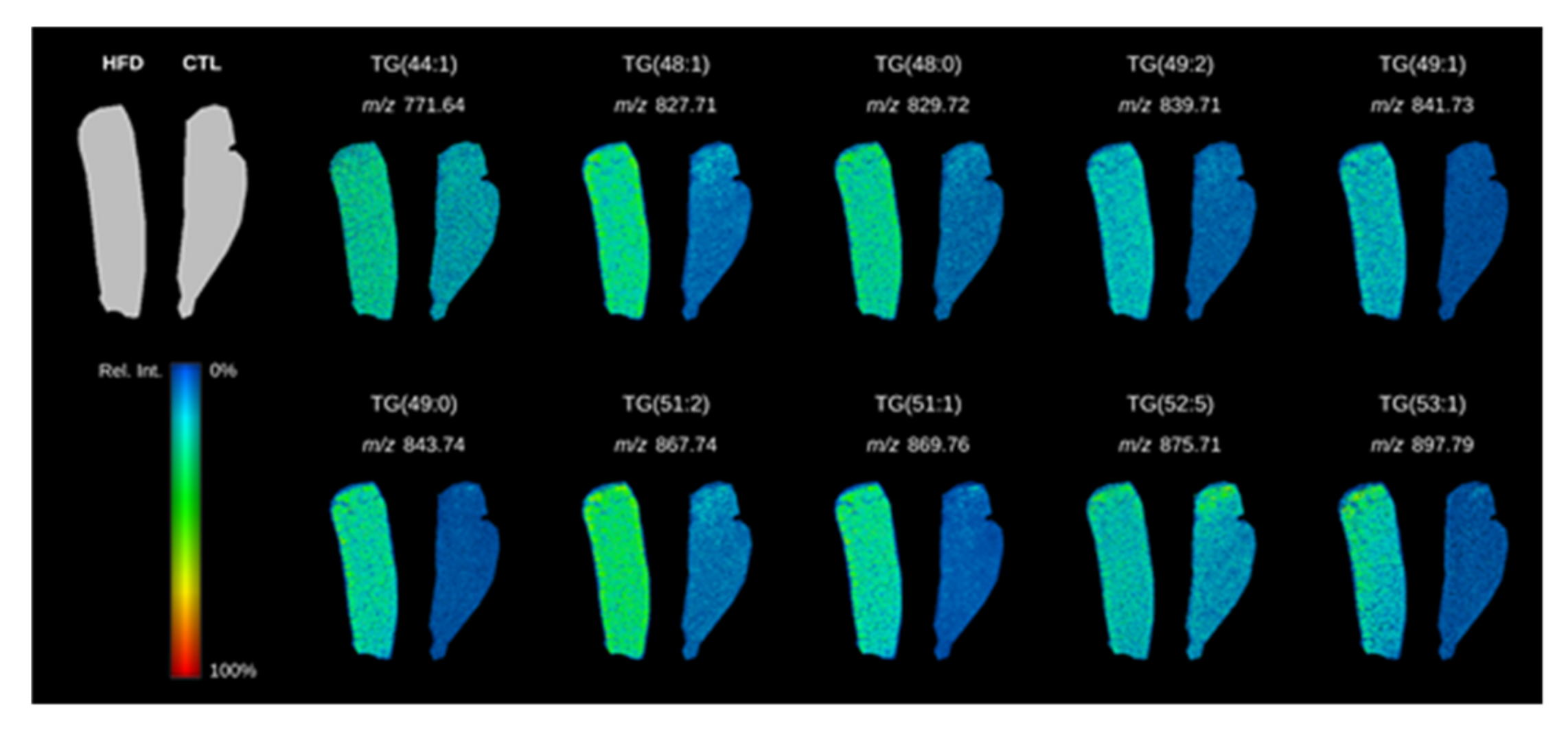 Biomolecules 10 01275 g001
