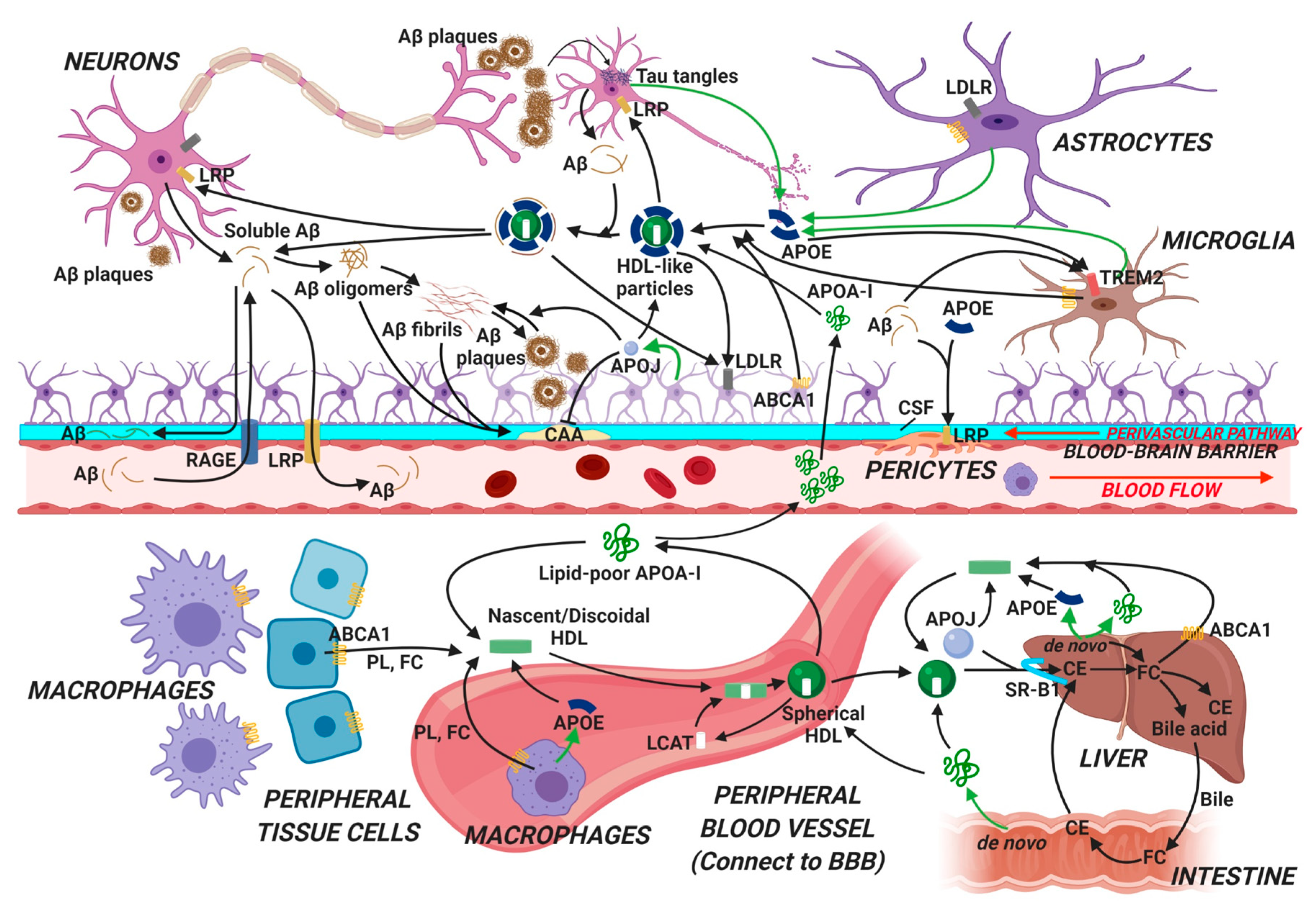 Biomolecules 10 01276 g001