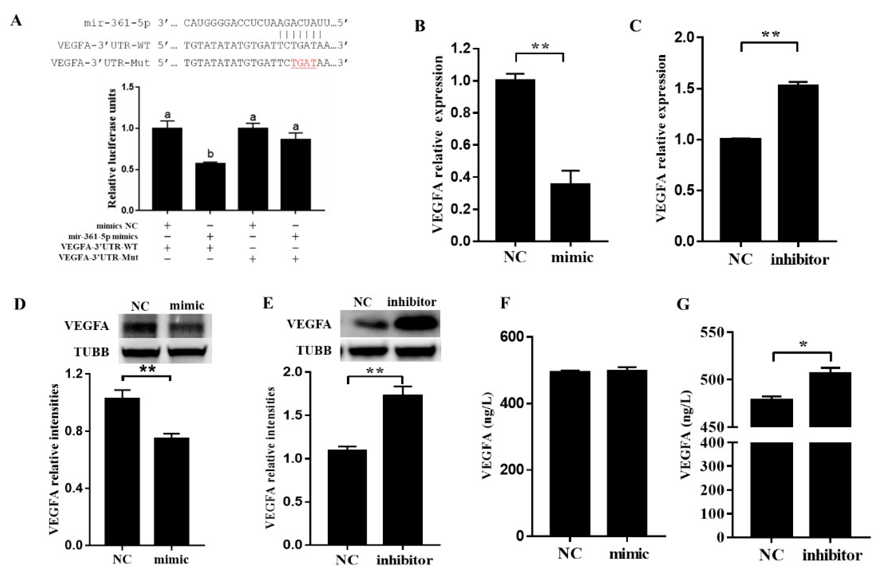 Biomolecules 10 01281 g003