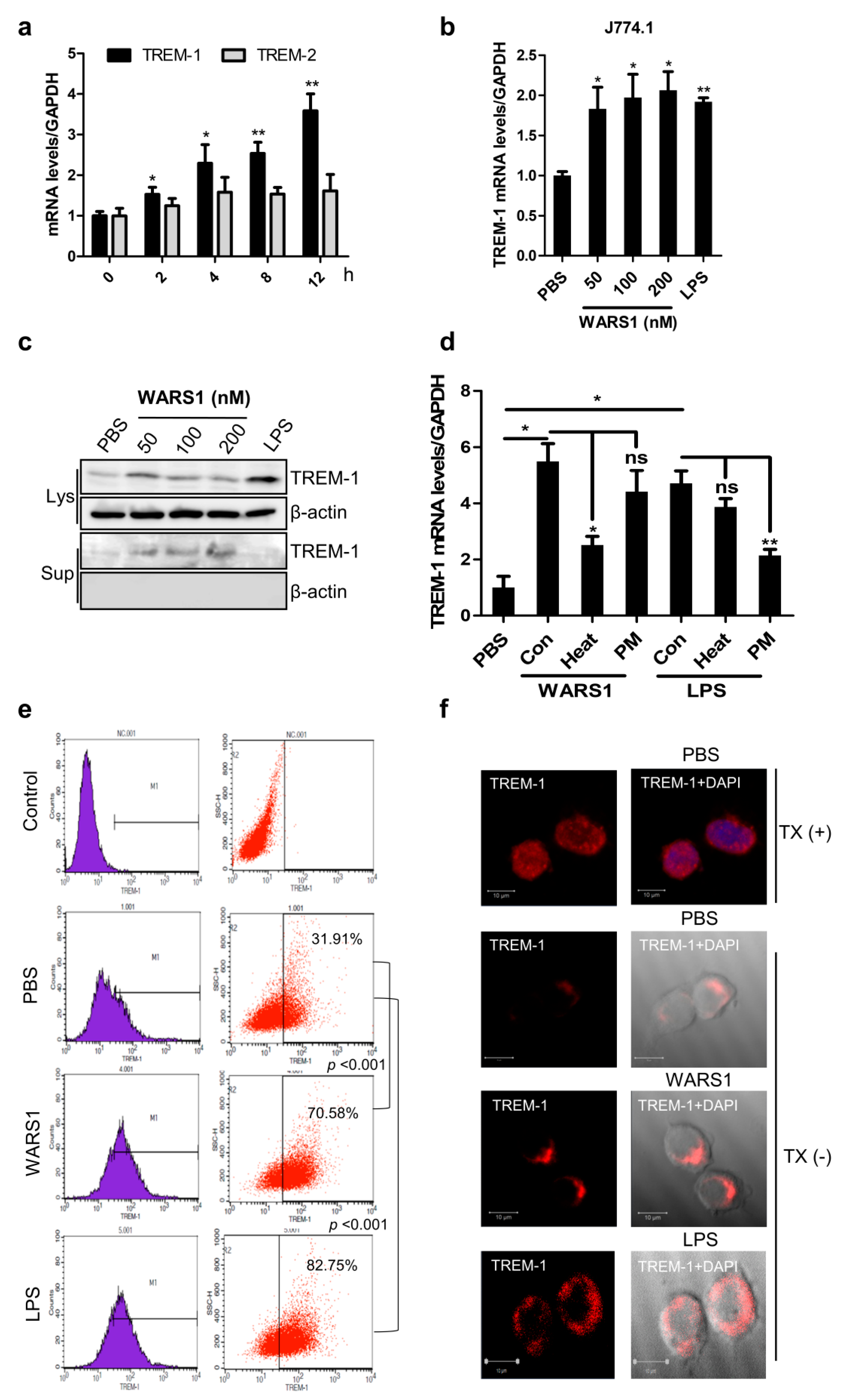 Biomolecules 10 01283 g002 Biomolecules 10 01283 g002