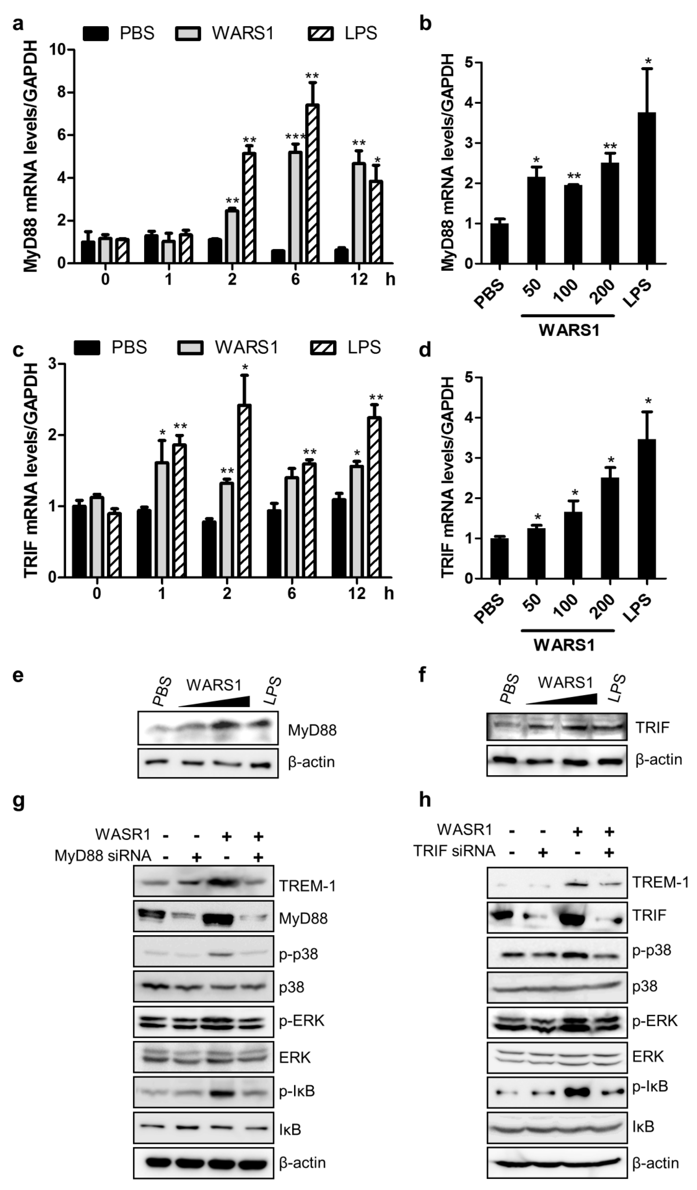 Biomolecules 10 01283 g004 Biomolecules 10 01283 g004