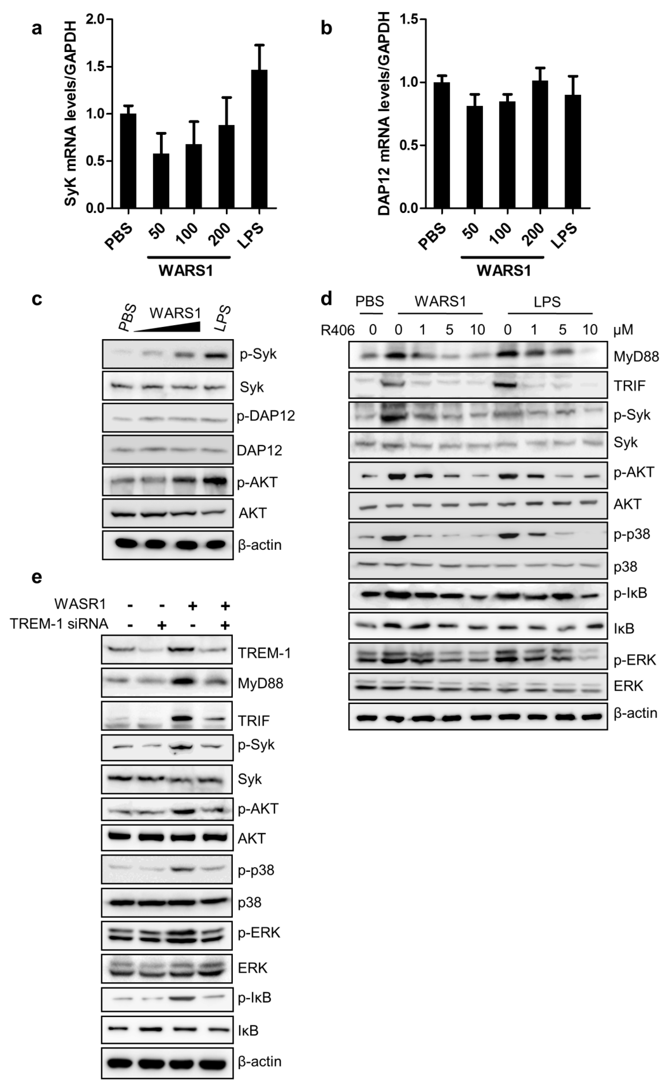 Biomolecules 10 01283 g005 Biomolecules 10 01283 g005