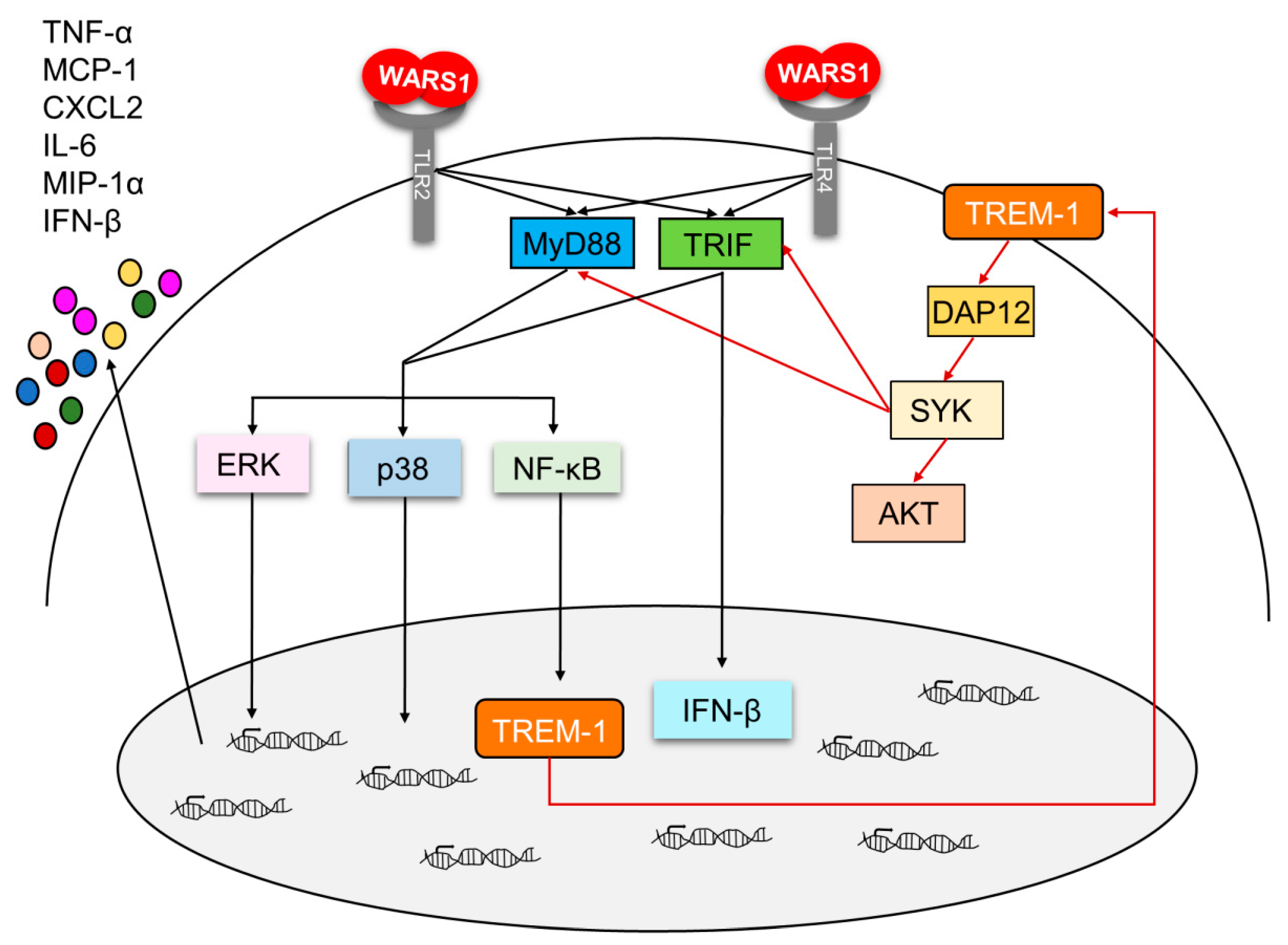 Biomolecules 10 01283 g007 Biomolecules 10 01283 g007