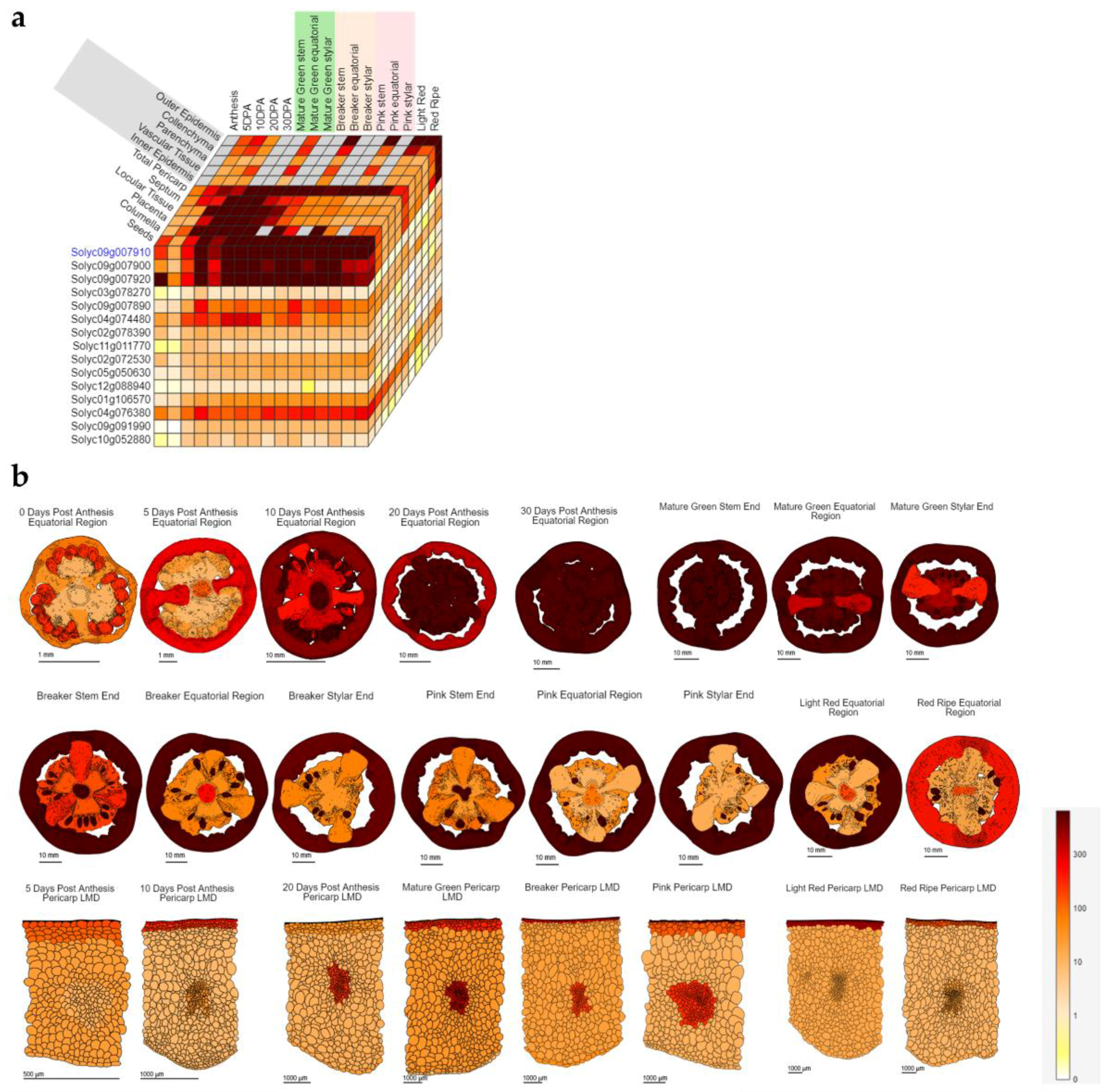 Biomolecules 10 01284 g002 Biomolecules 10 01284 g002