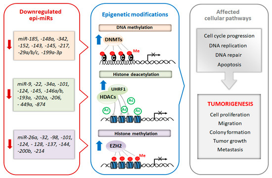 Biomolecules 10 01285 g002 550