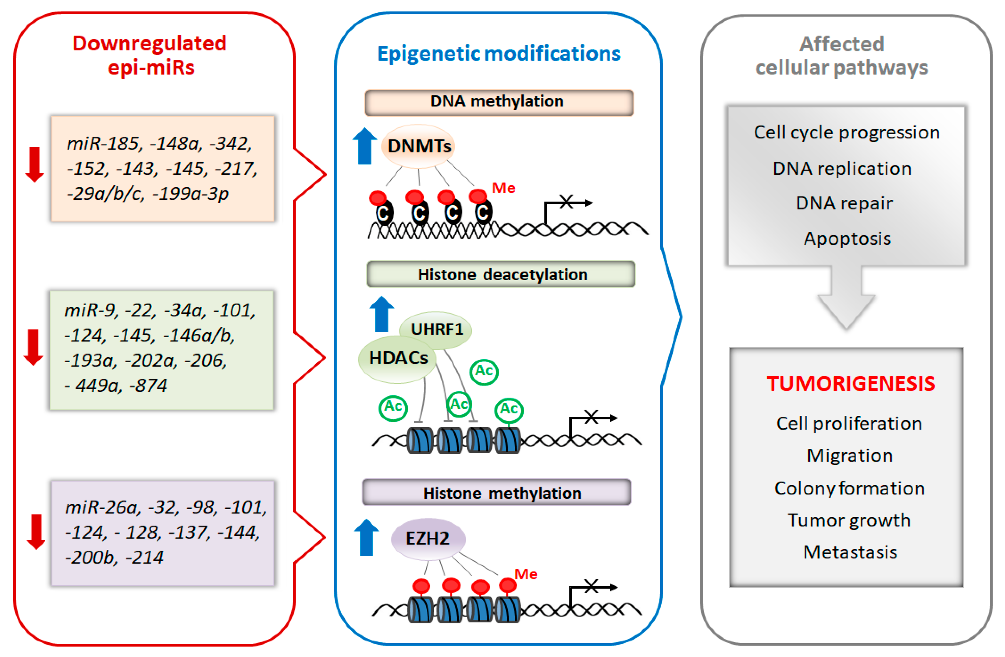 Biomolecules 10 01285 g002 Biomolecules 10 01285 g002