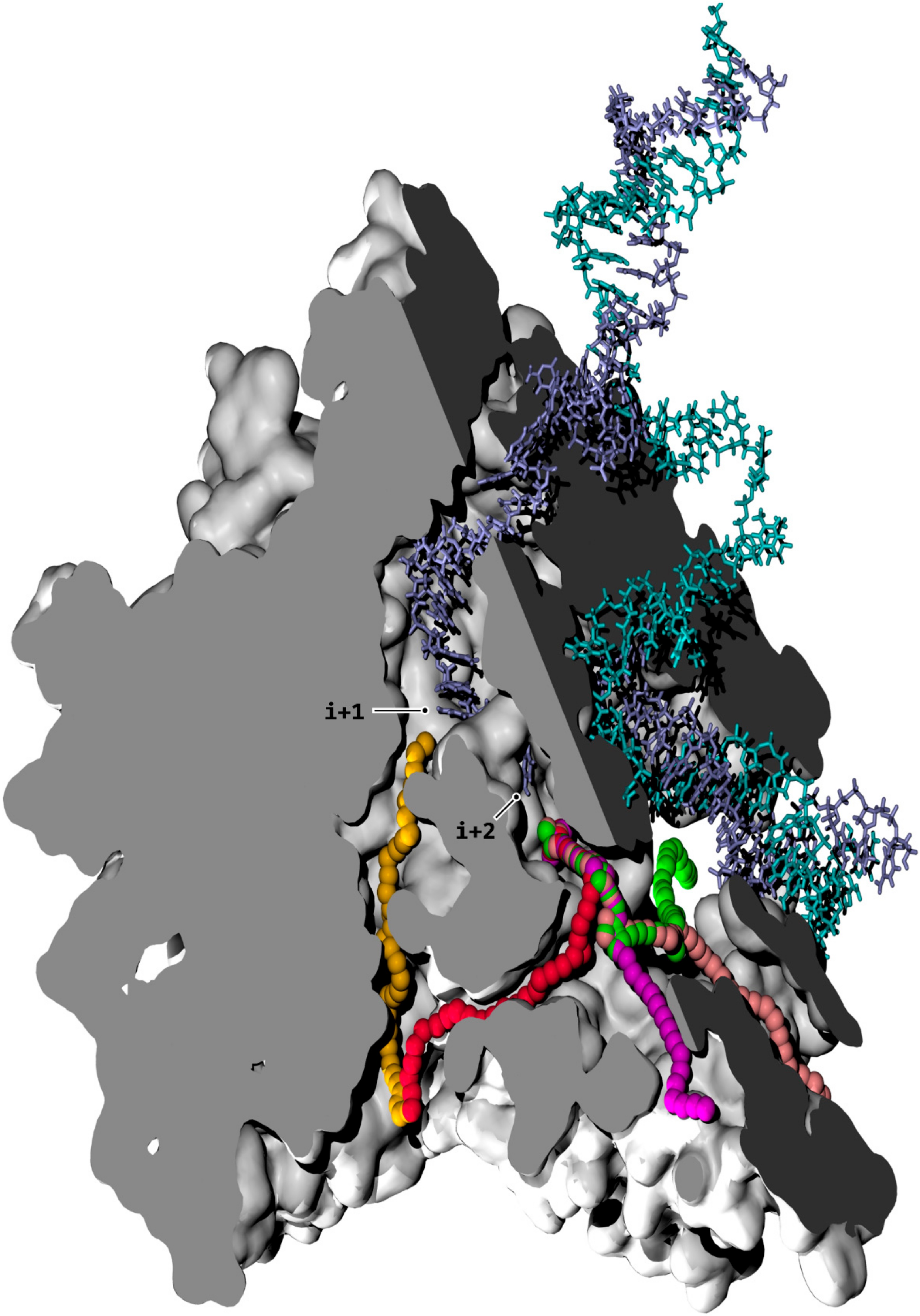 Biomolecules 10 01289 g001