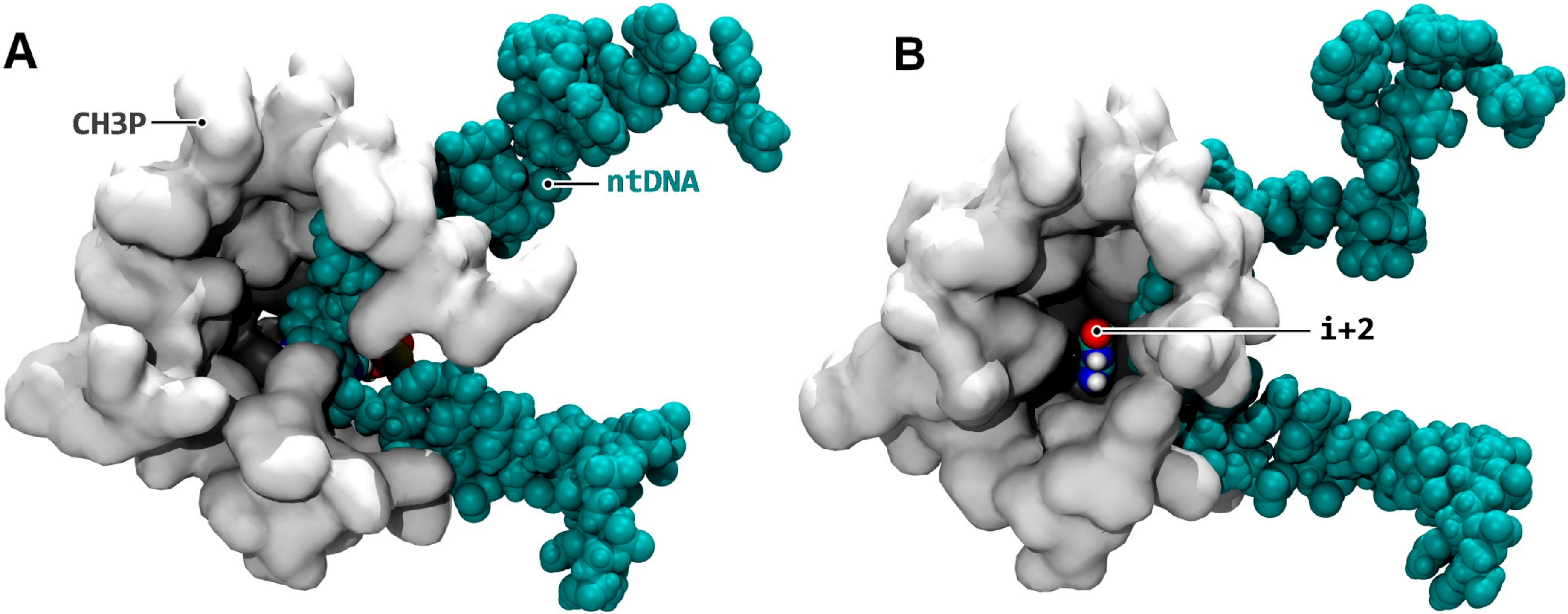Biomolecules 10 01289 g002