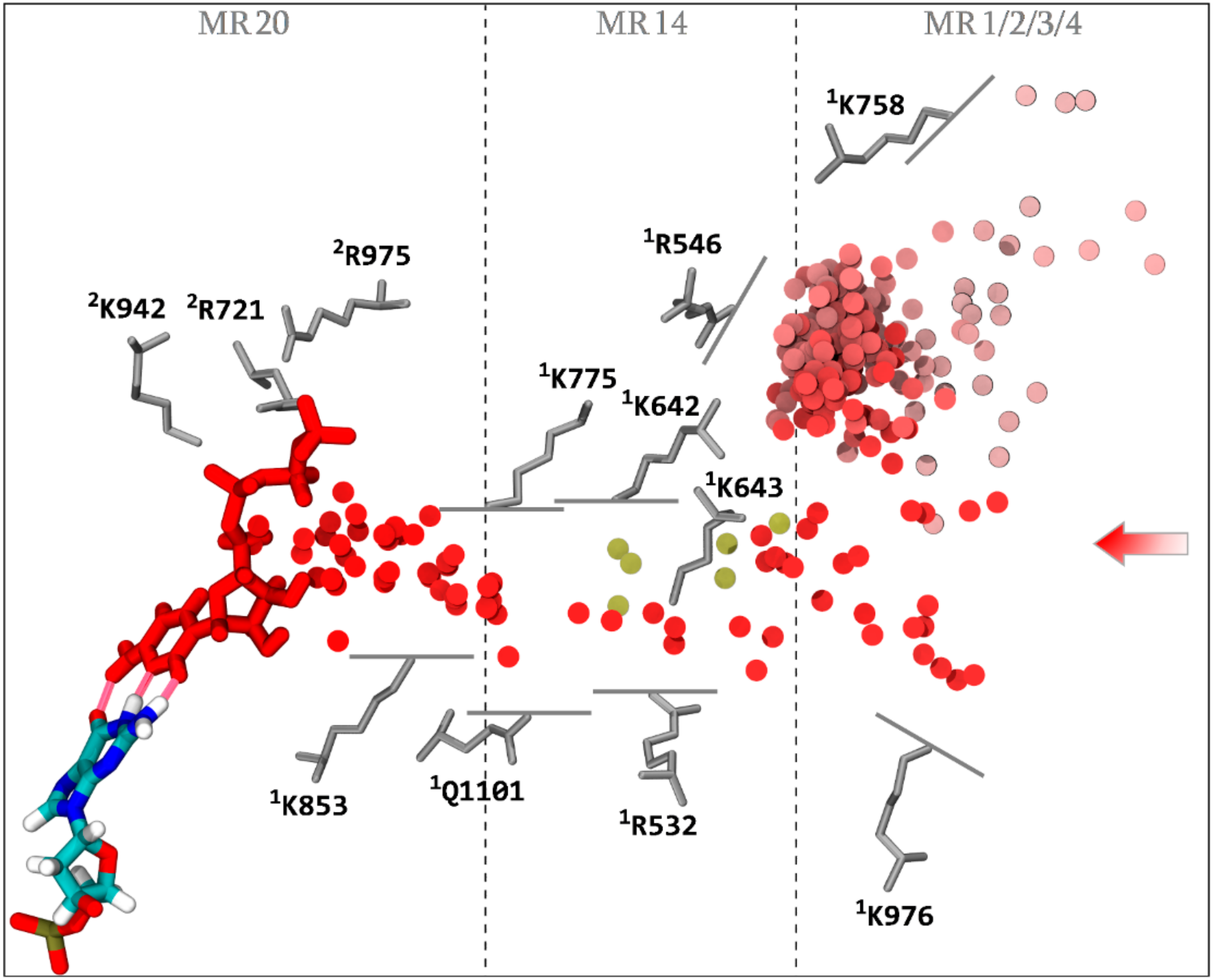 Biomolecules 10 01289 g005