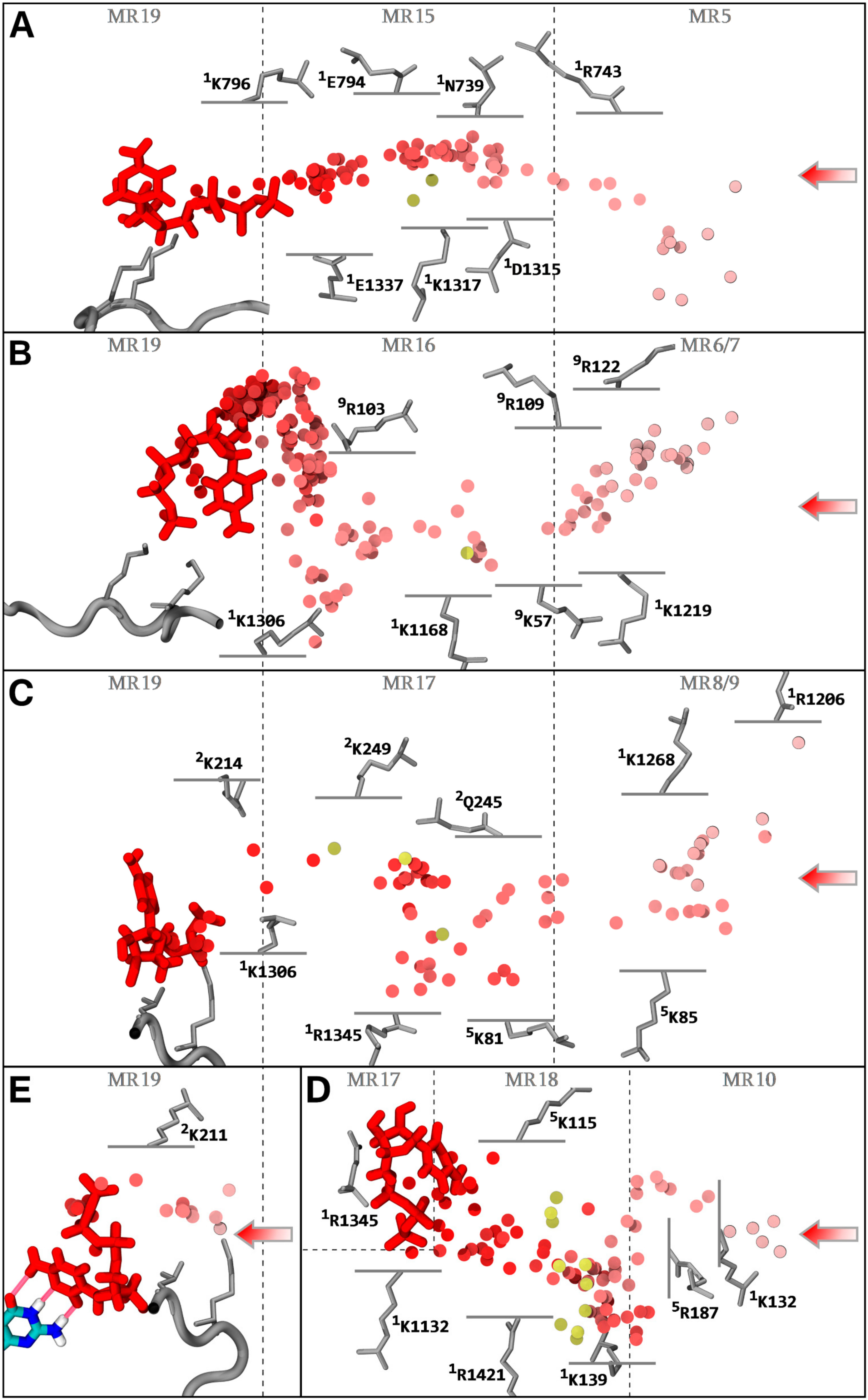 Biomolecules 10 01289 g006