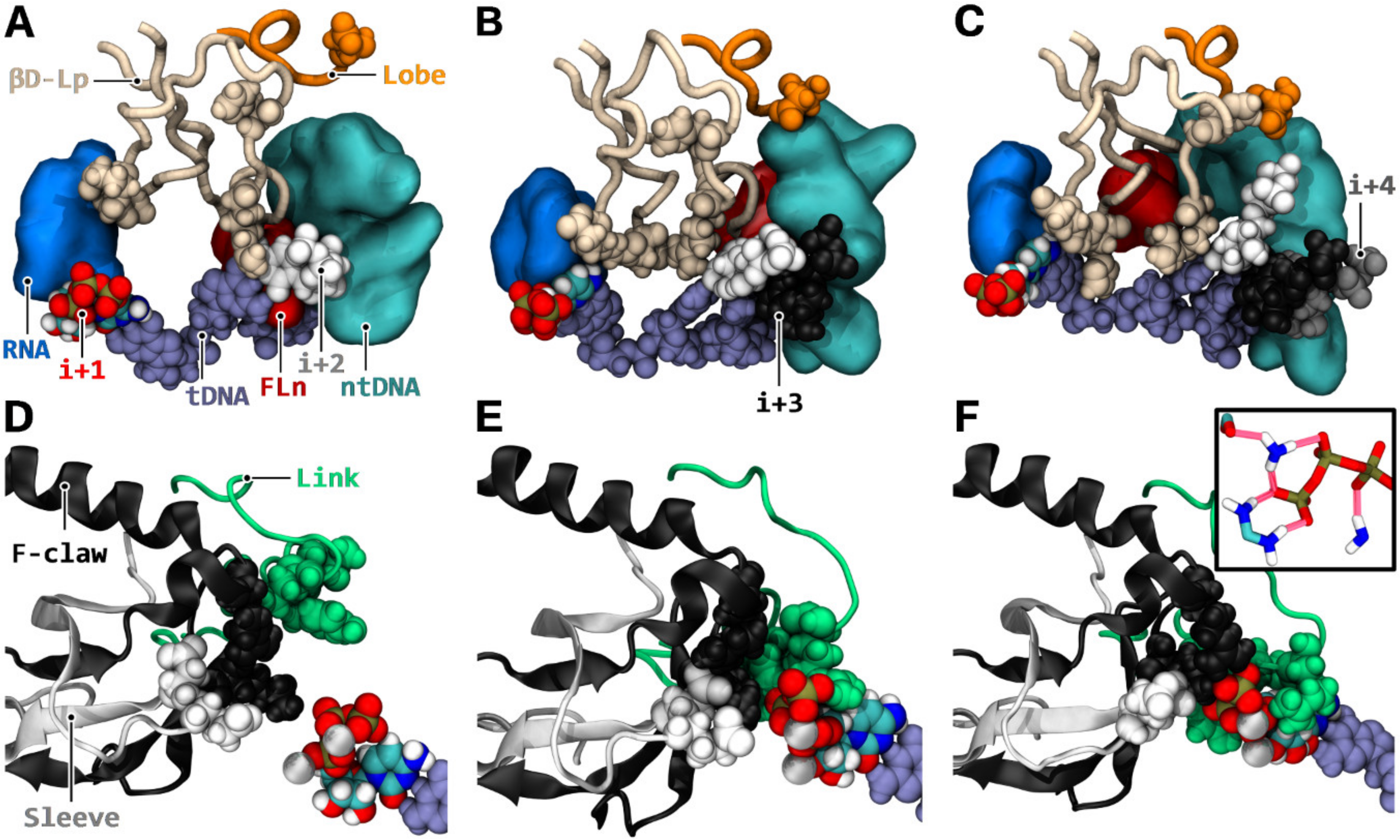 Biomolecules 10 01289 g008