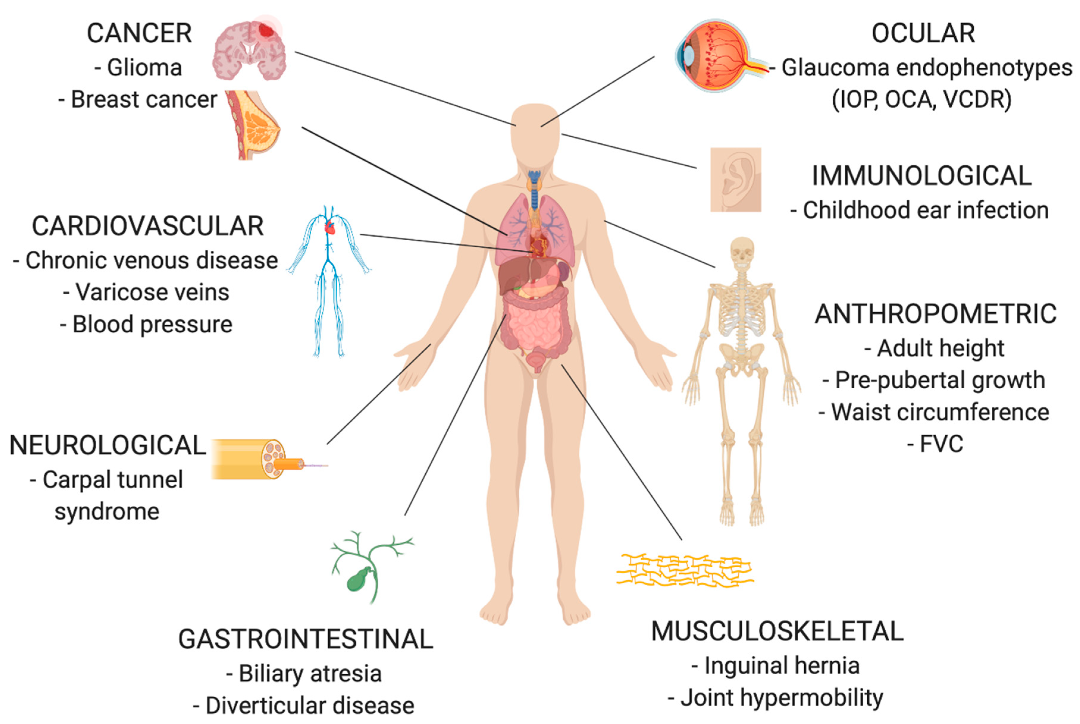 Biomolecules 10 01294 g005 Biomolecules 10 01294 g005