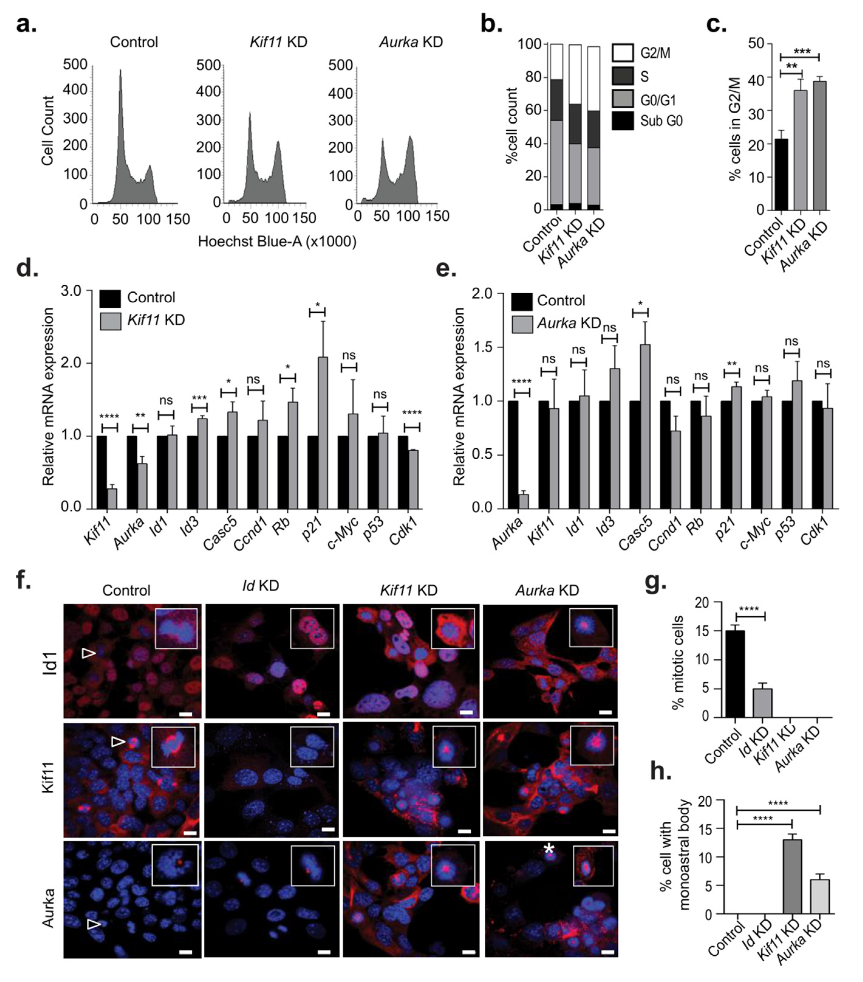 Biomolecules 10 01295 g004 Biomolecules 10 01295 g004