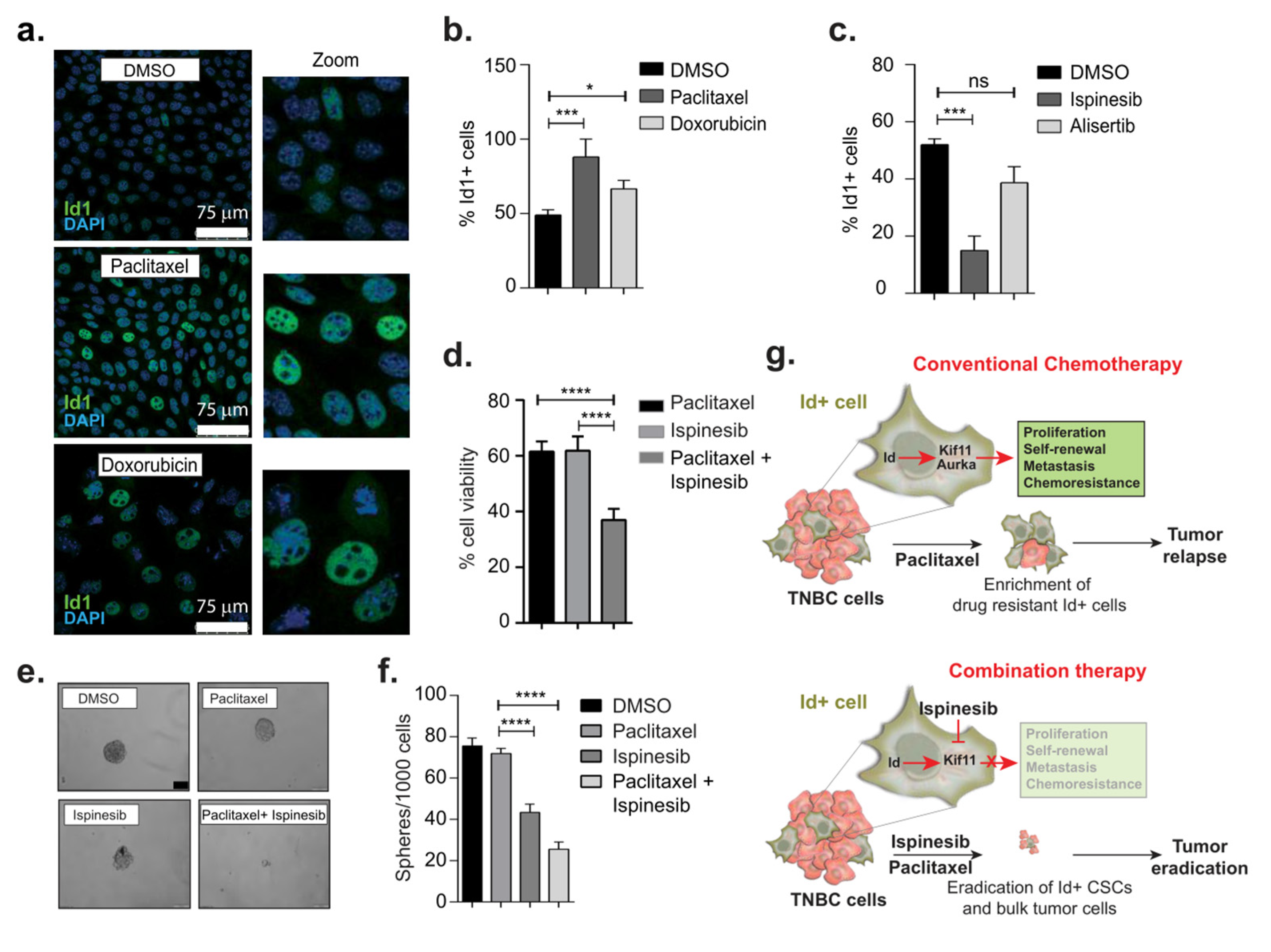 Biomolecules 10 01295 g005 Biomolecules 10 01295 g005