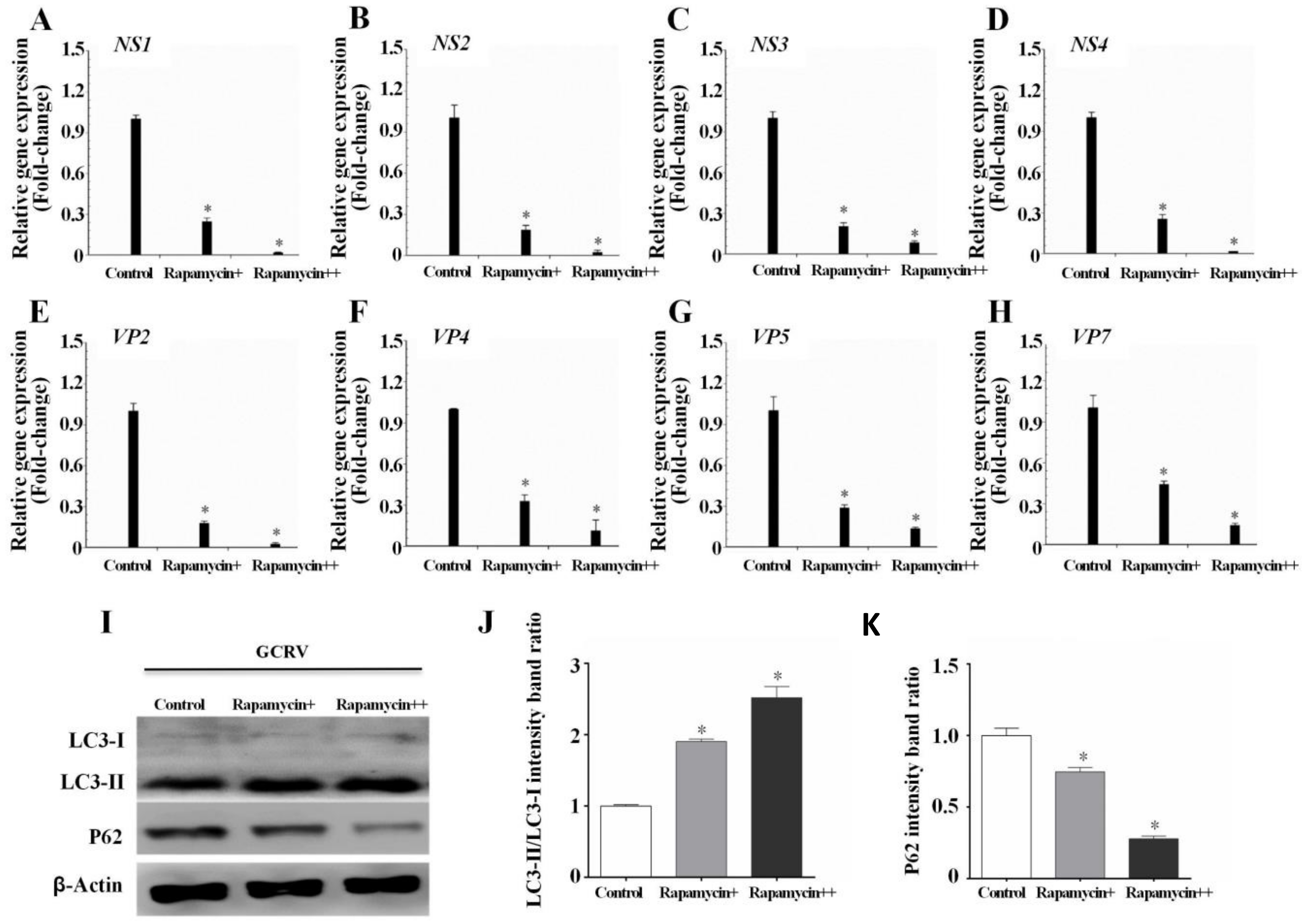 Biomolecules 10 01296 g003 Biomolecules 10 01296 g003