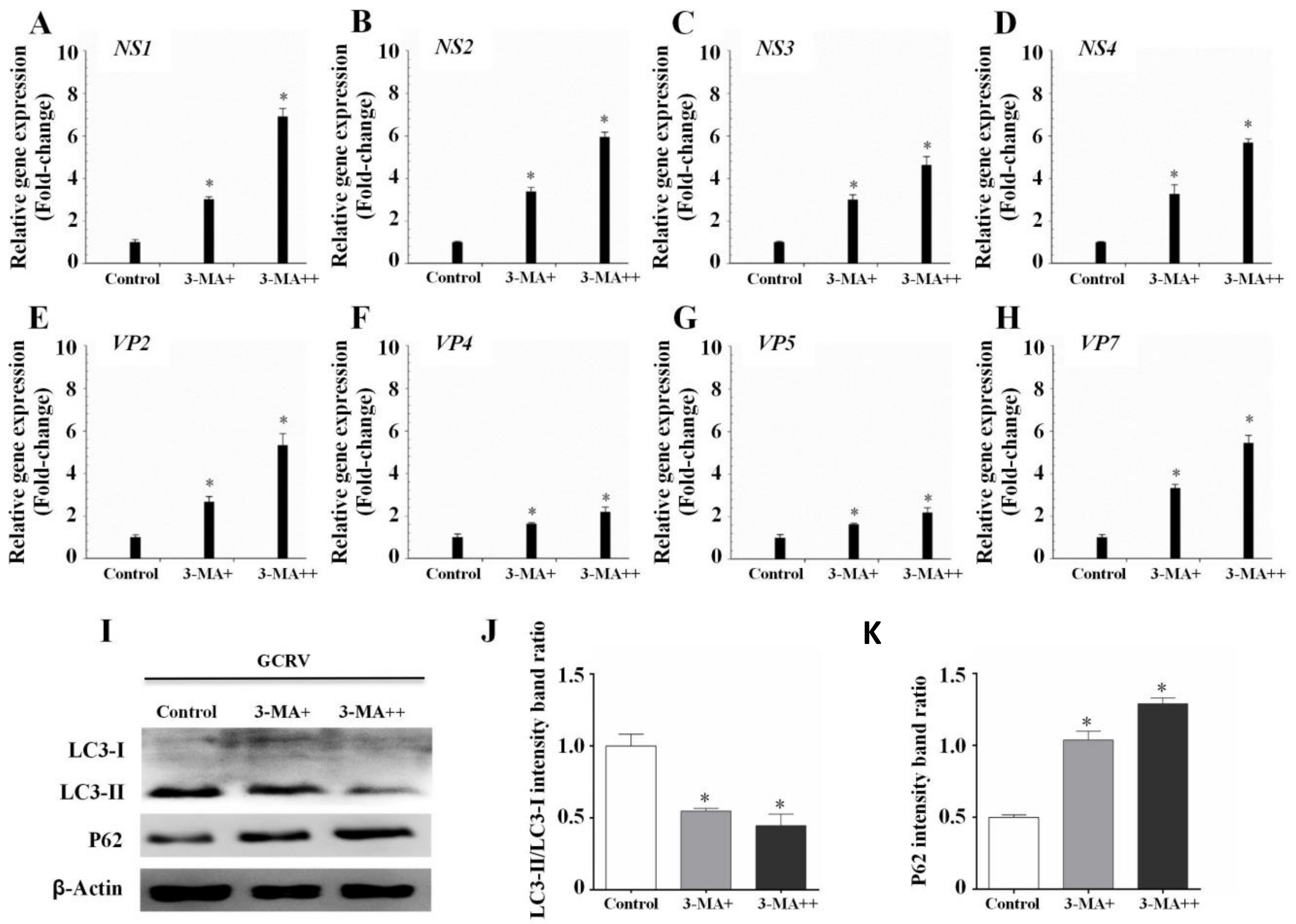 Biomolecules 10 01296 g004 Biomolecules 10 01296 g004